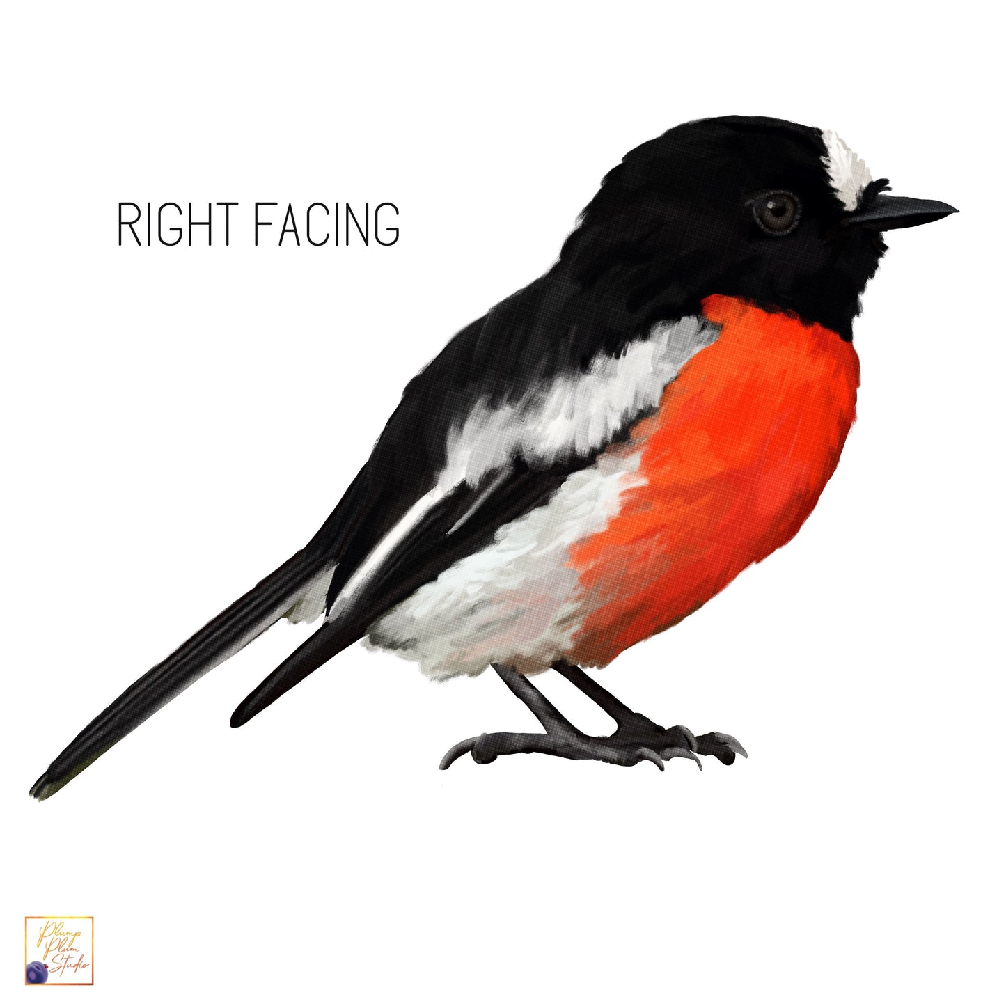 Right- facing flame robin vinyl wall decal sticker