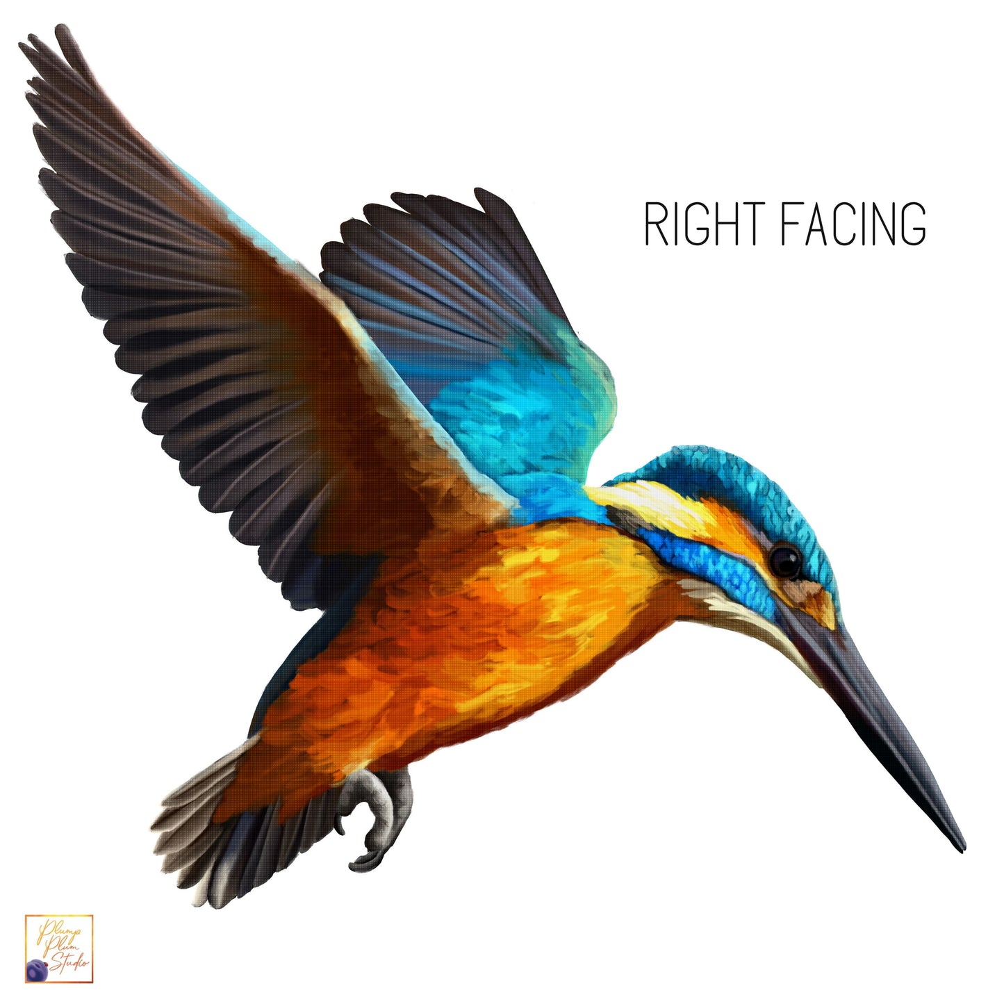 Right facing flying kingfisher textured vinyl decal