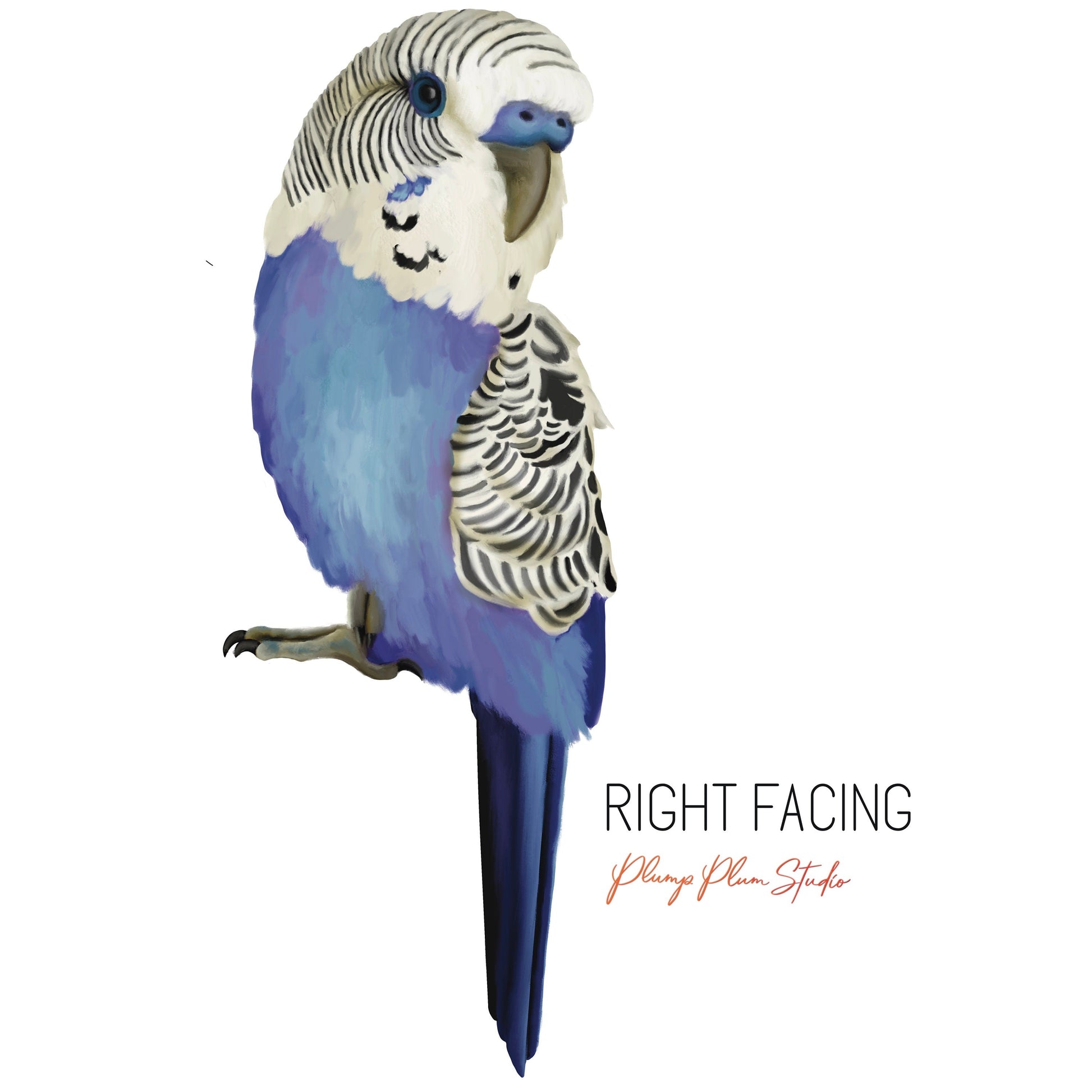 Right-facing blue and white budgie bird decal sticker