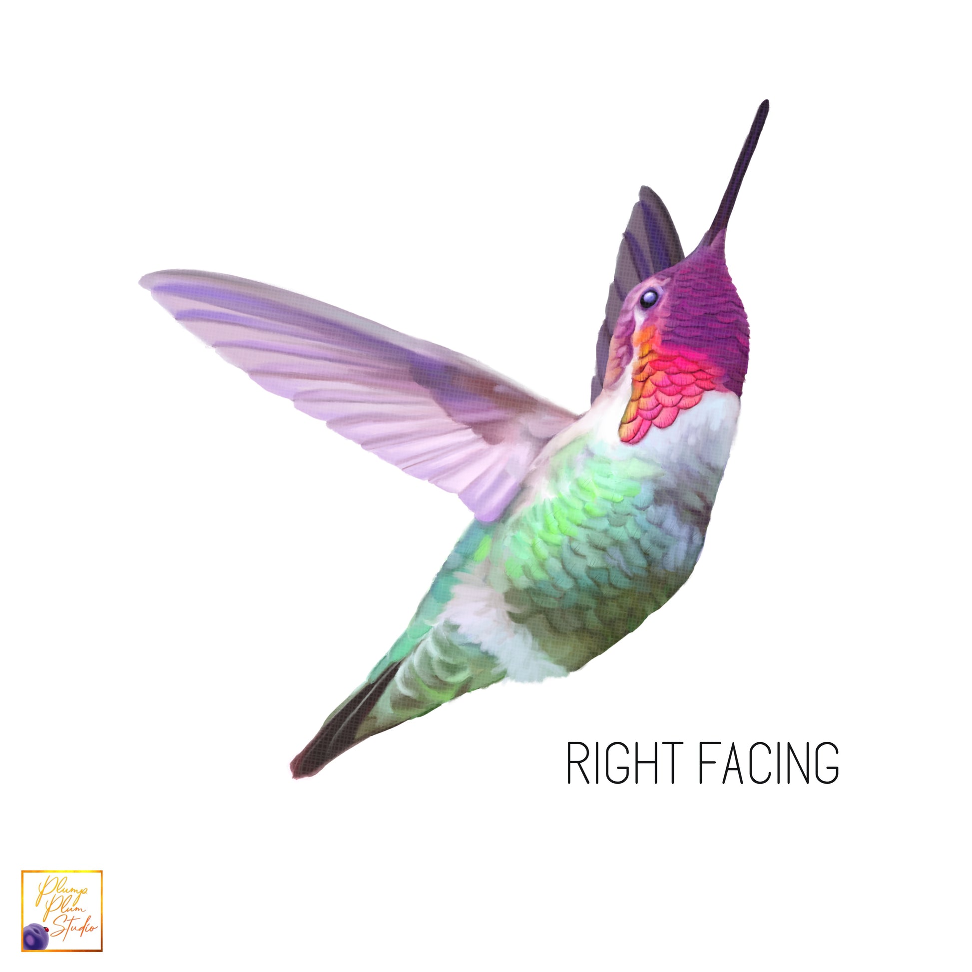 Right facing flying hummingbird luxury textured vinyl decal