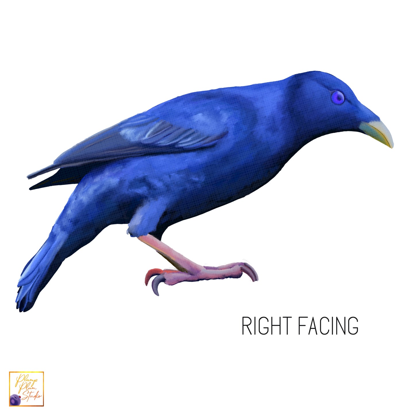 Right facing Bowerbird textured vinyl decal