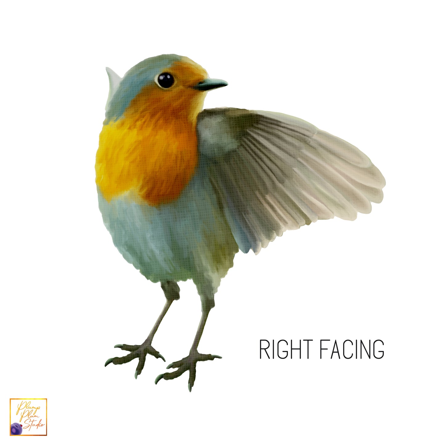 Right facing red-breasted robin decal on textured vinyl