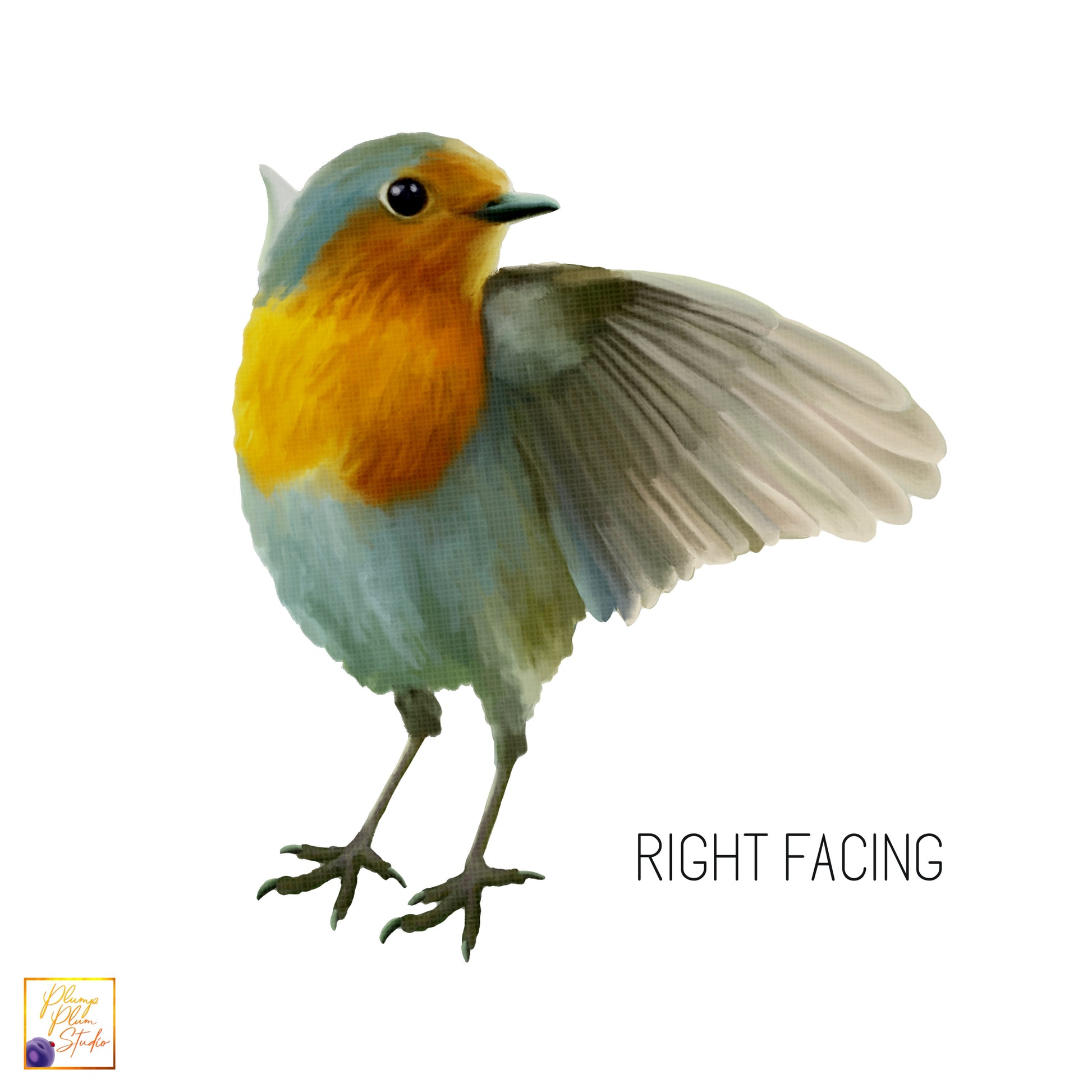 Right facing red-breasted robin decal on textured vinyl