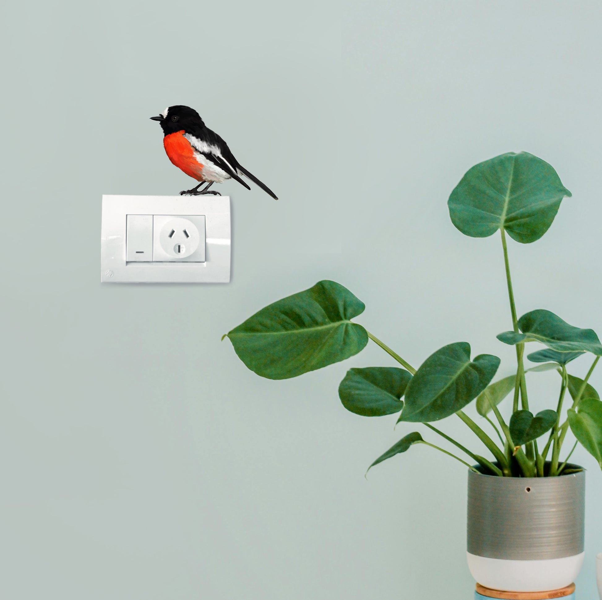 Small Scarlet Robin bird sticker perched realistically above a light switch in a modern home.
