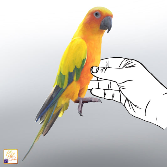 A fabric textured vinyl decal of a yellow and green Sun Conure parakeet, with options of left or right facing.