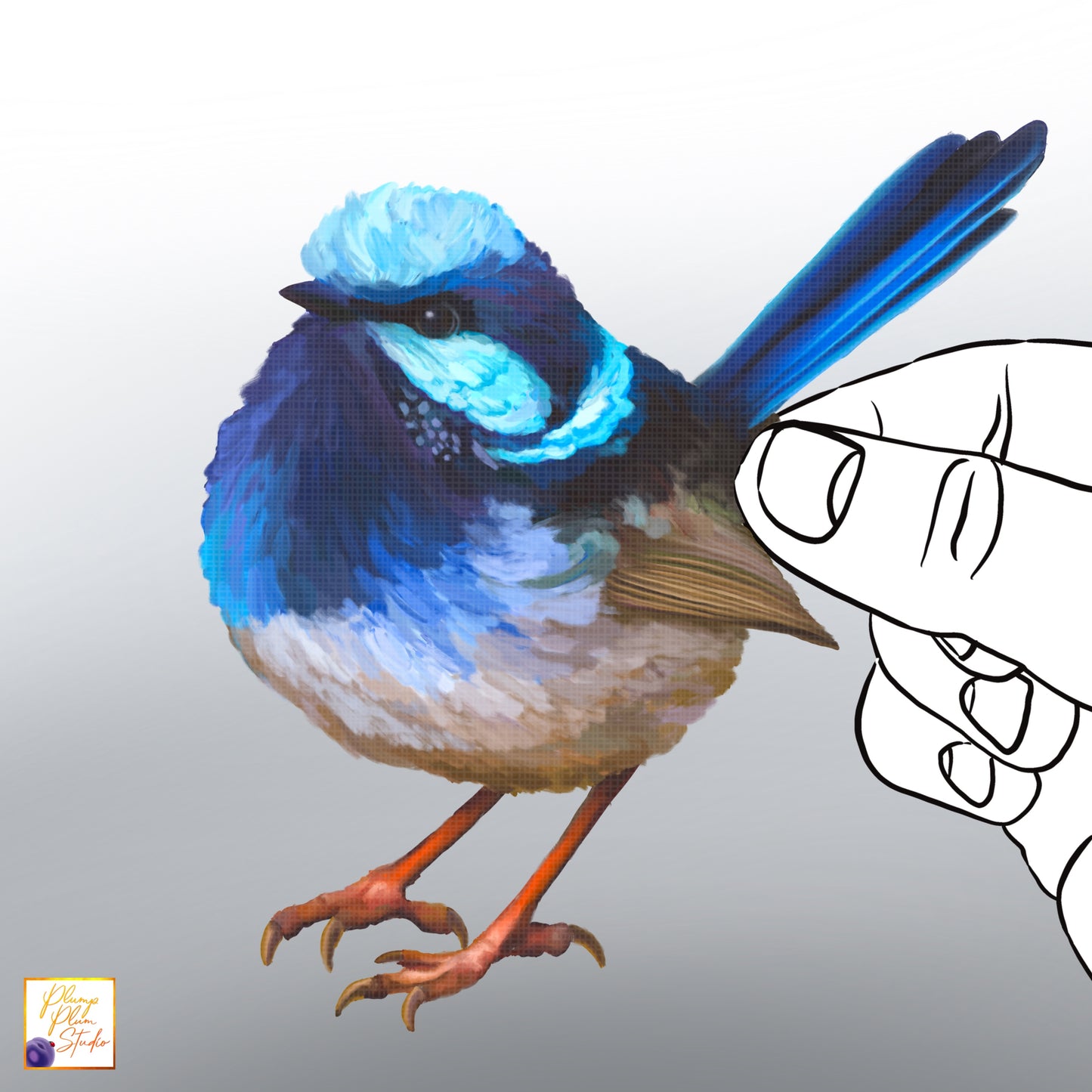 Realistic hand-drawn Superb Blue Fairy Wren decal with vibrant electric blue plumage on luxury matte textured vinyl.