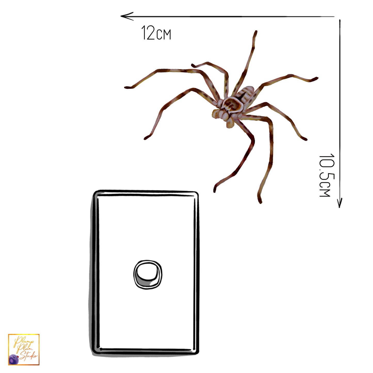 Australian Huntsman Spider decal, Huntsman spider sticker, illustrated spider, creepy spider, nature lover gift, light switch, fabric decal