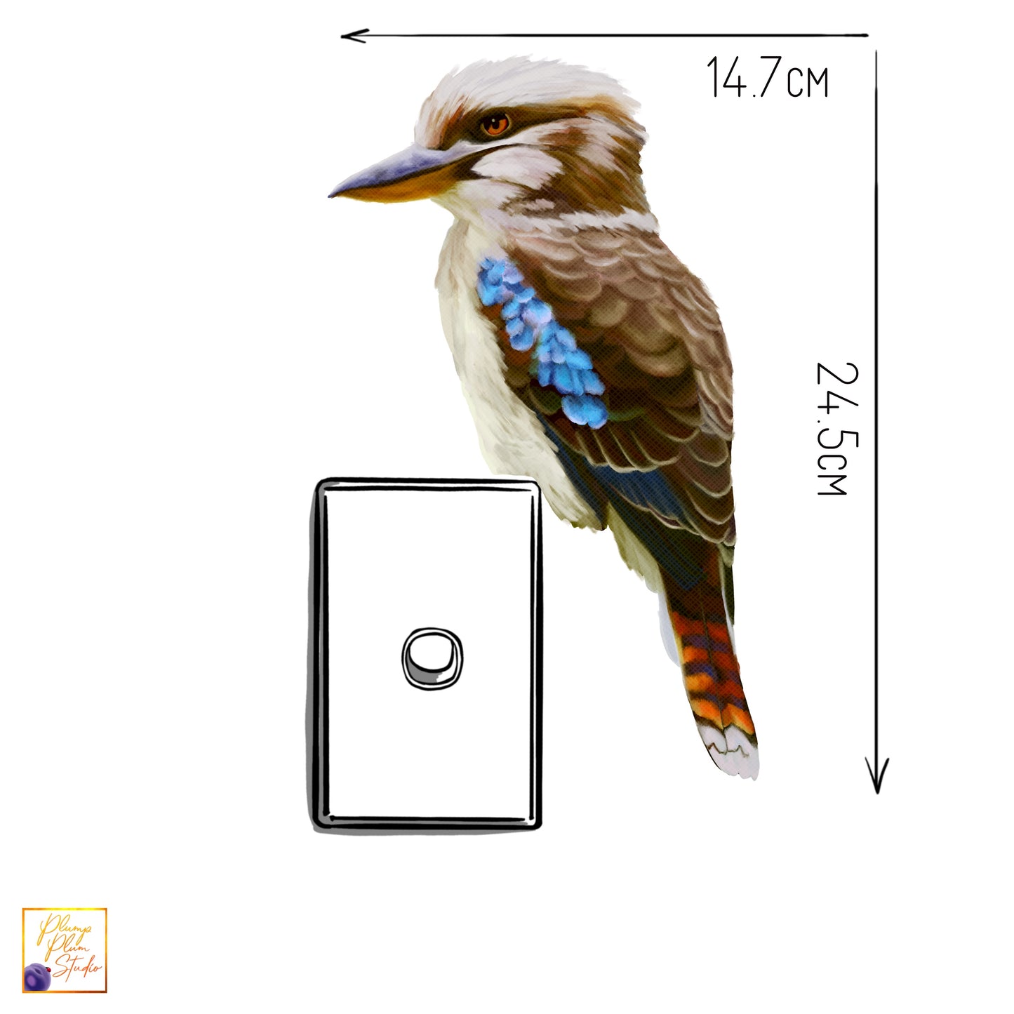 Kookaburra decal, laughing kookaburra sticker, Aussie themed decor, Realistic Australian kookaburra, peel/stick, luxury textured vinyl decal