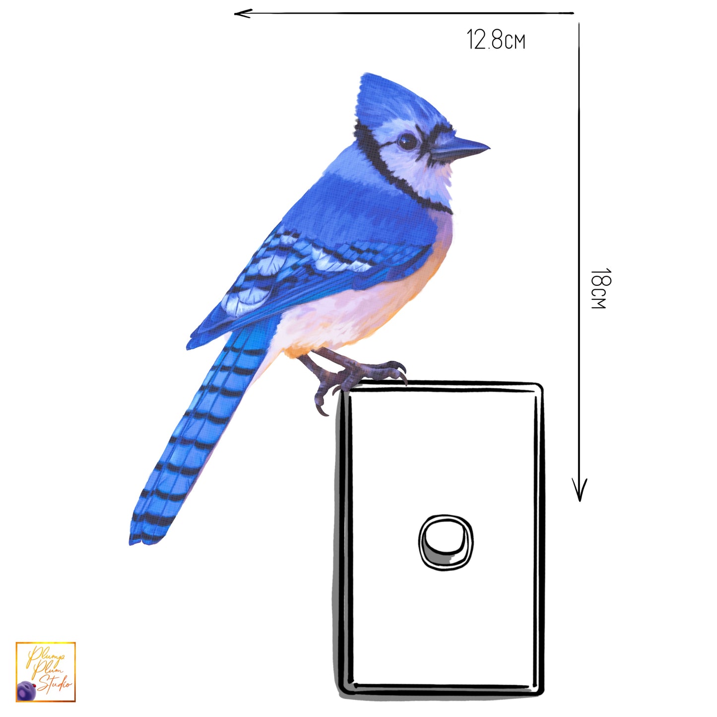 Gorgeous Blue Jay decal, American blue/white Blue Jay sticker, light switch decal, cute bird, textured vinyl car decal, indoor/outdoor