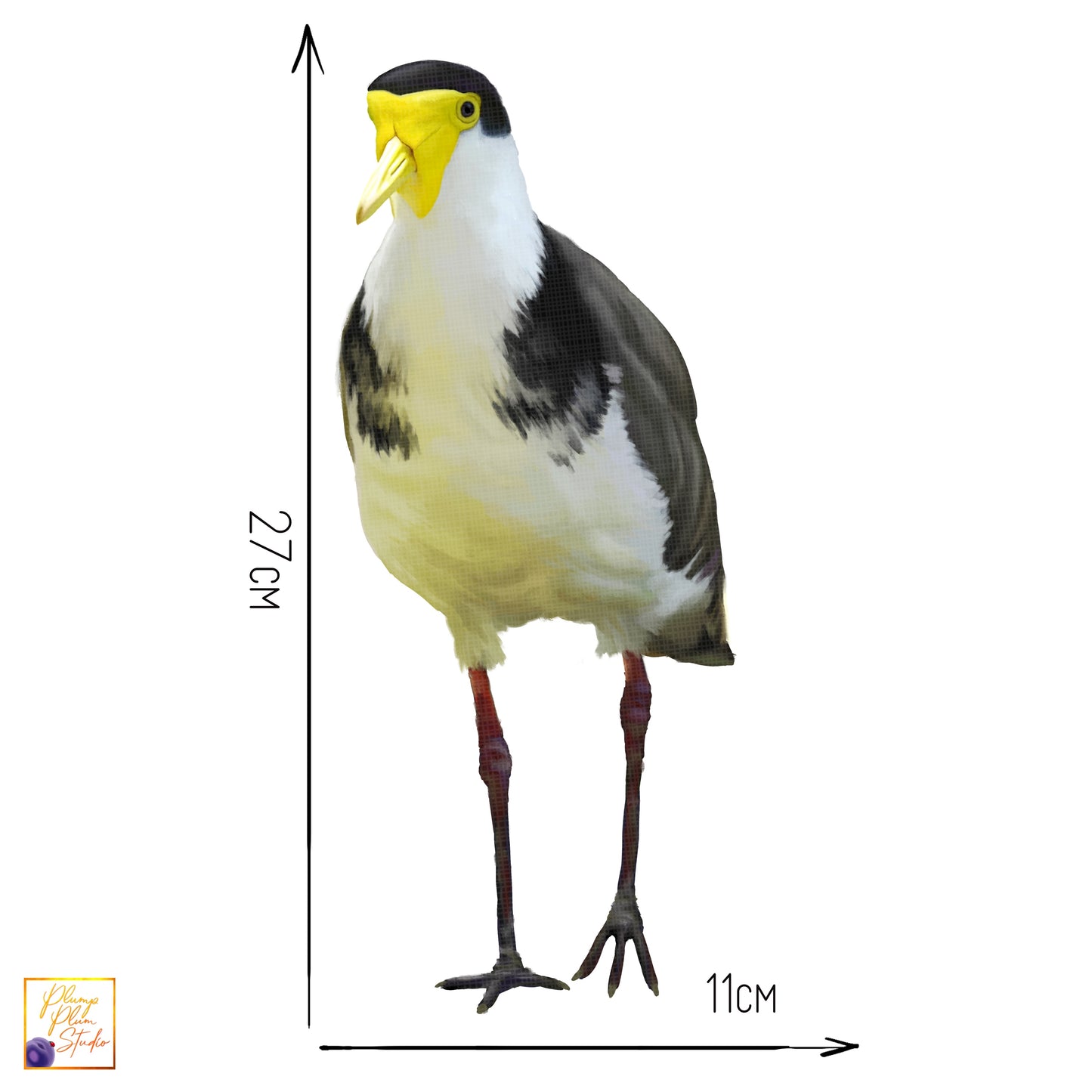 Australian Plover bird decal, Masked Lapwing bird decal, backyard plover bird, repositionable decal, wheelie bin sticker, bird lover gift