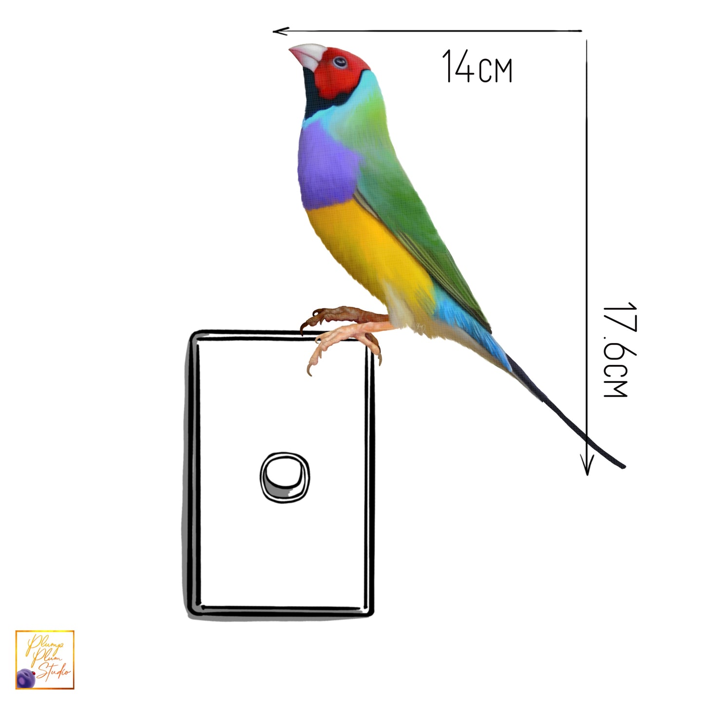 Rainbow Finch decal, Gouldian Finch sticker, car sticker, peel and stick, light switch decal, cute little bird decal, vinyl decal, reusable