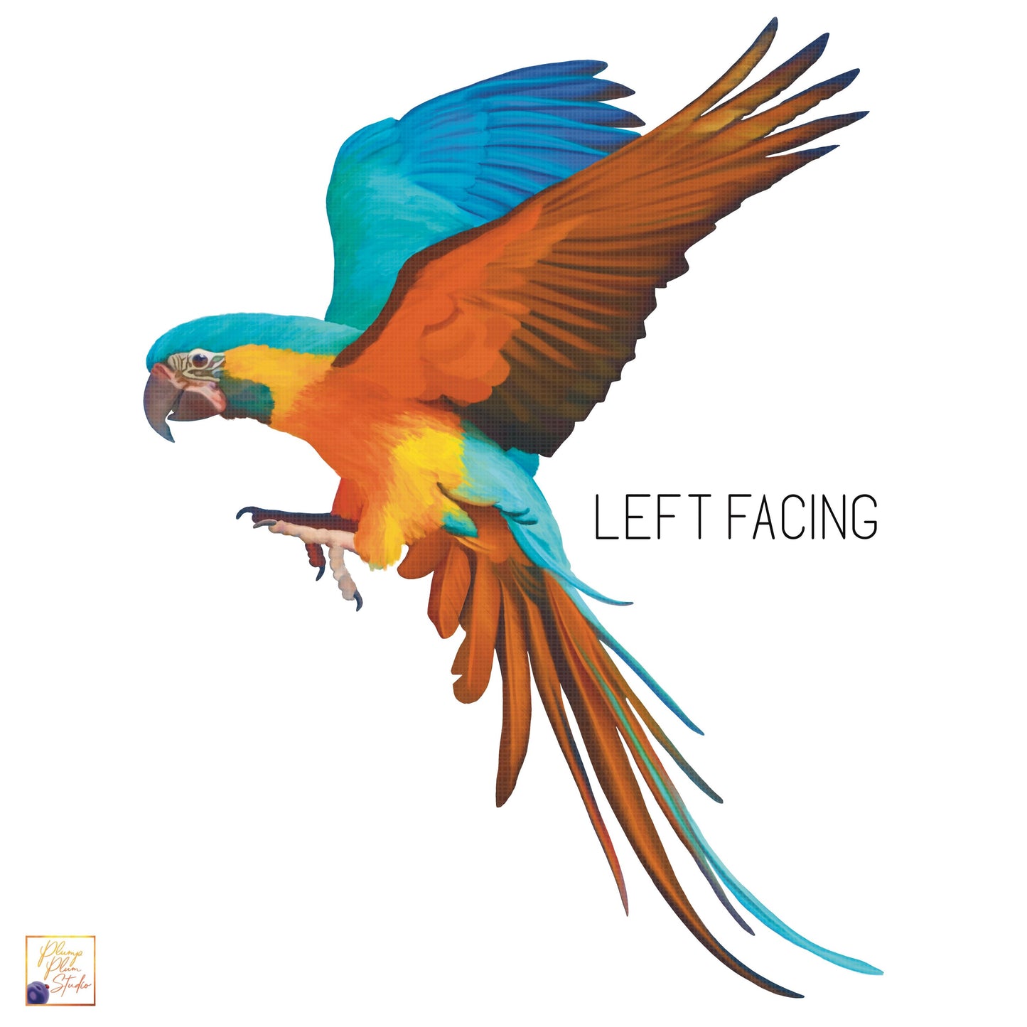 Macaw vinyl sticker, Blue Gold Macaw sticker, Realistic macaw bird decal, Bird lover gift, car vinyl sticker, parrot decal, colourful parrot