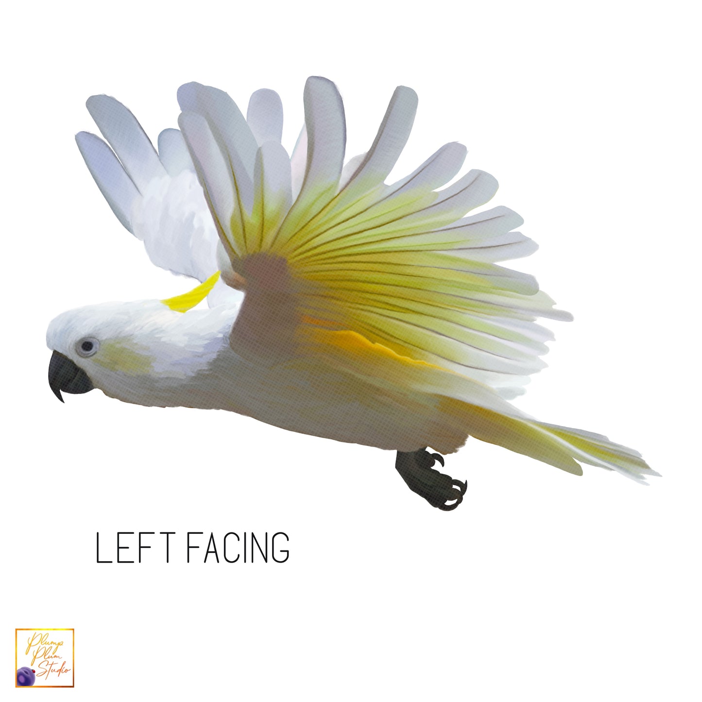 Cockatoo decal, flying cockatoo, Australian themed decor, Yellow crested cockatoo, peel/stick, repositionable vinyl wall decal, car decal