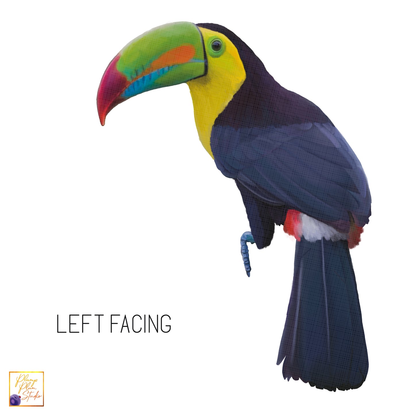 Colourful Toucan sticker, Realistic Toucan bird decal, Bird lover gift, luxury fabric texture vinyl, Tropical indoor/outdoor vinyl decal