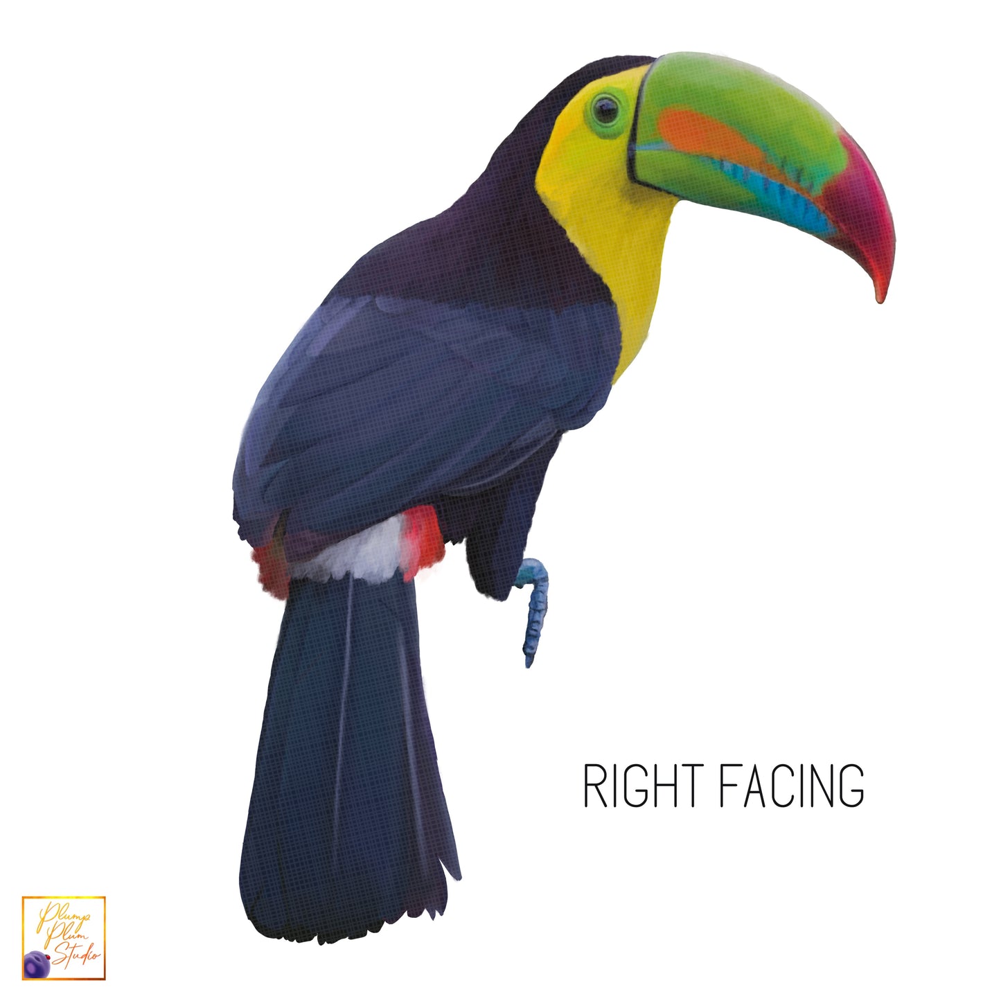 Colourful Toucan sticker, Realistic Toucan bird decal, Bird lover gift, luxury fabric texture vinyl, Tropical indoor/outdoor vinyl decal