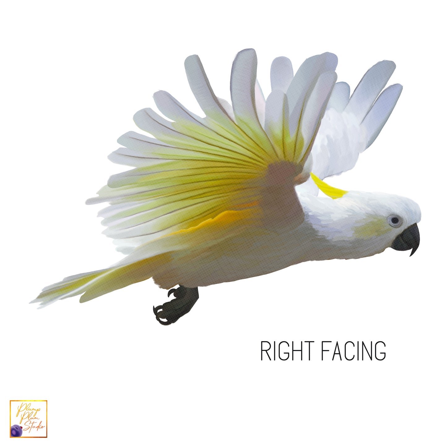 Cockatoo decal, flying cockatoo, Australian themed decor, Yellow crested cockatoo, peel/stick, repositionable vinyl wall decal, car decal