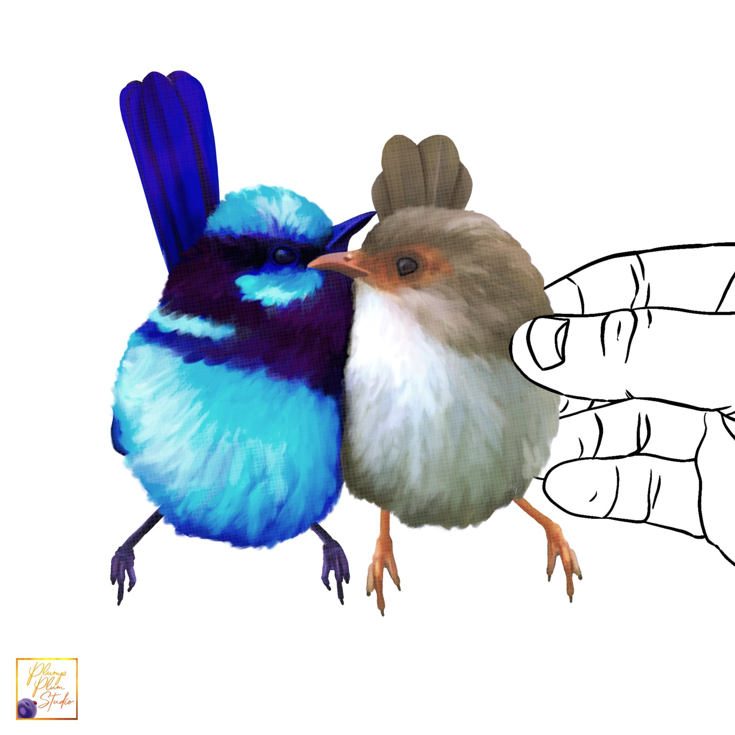 Superb fairy blue wren love pair decal, Fairy wrens sticker, luxury textured vinyl, light switch decal, cute little birds decal, reusable