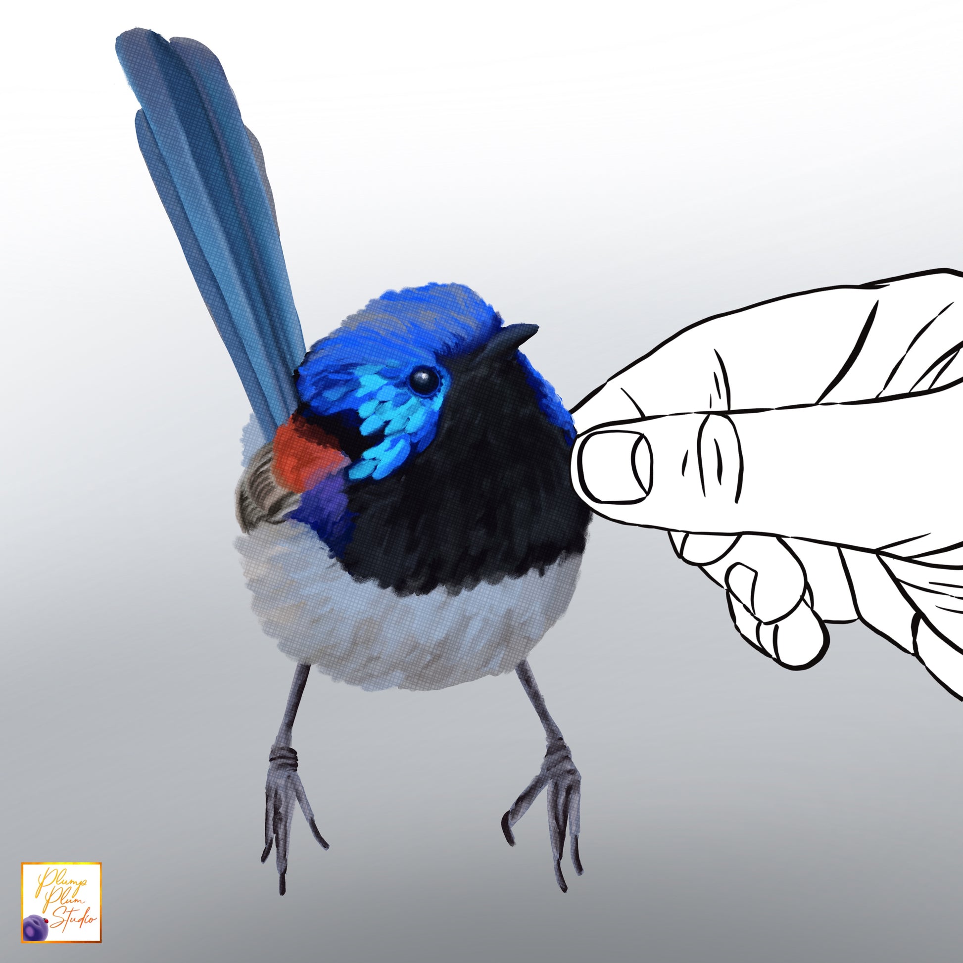 Realistic hand-drawn Variegated Fairy Wren bird decal in vibrant blue and purple on luxury textured vinyl.