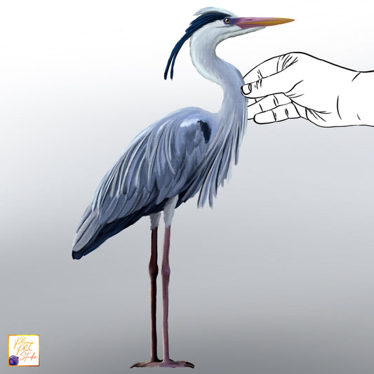 Realistic hand-drawn Great Blue Heron wall decal made from luxury matte textured vinyl, no white borders.
