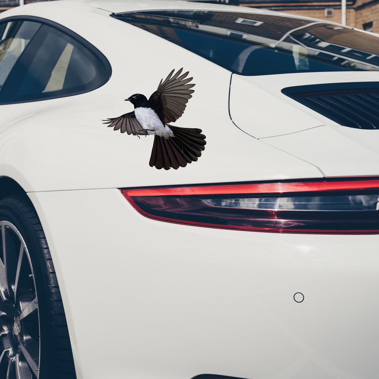Weatherproof and fade-resistant Willy Wagtail vinyl decal on a car window, perfect for Australian outdoor conditions.