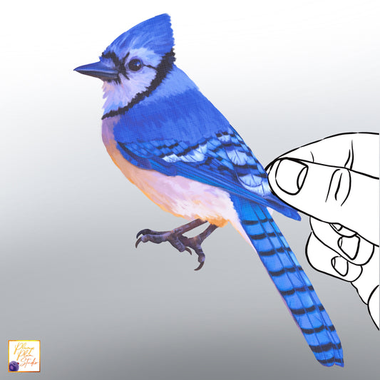 Realistic hand-drawn Blue Jay bird decal with vibrant blue and white plumage on luxury matte textured vinyl.