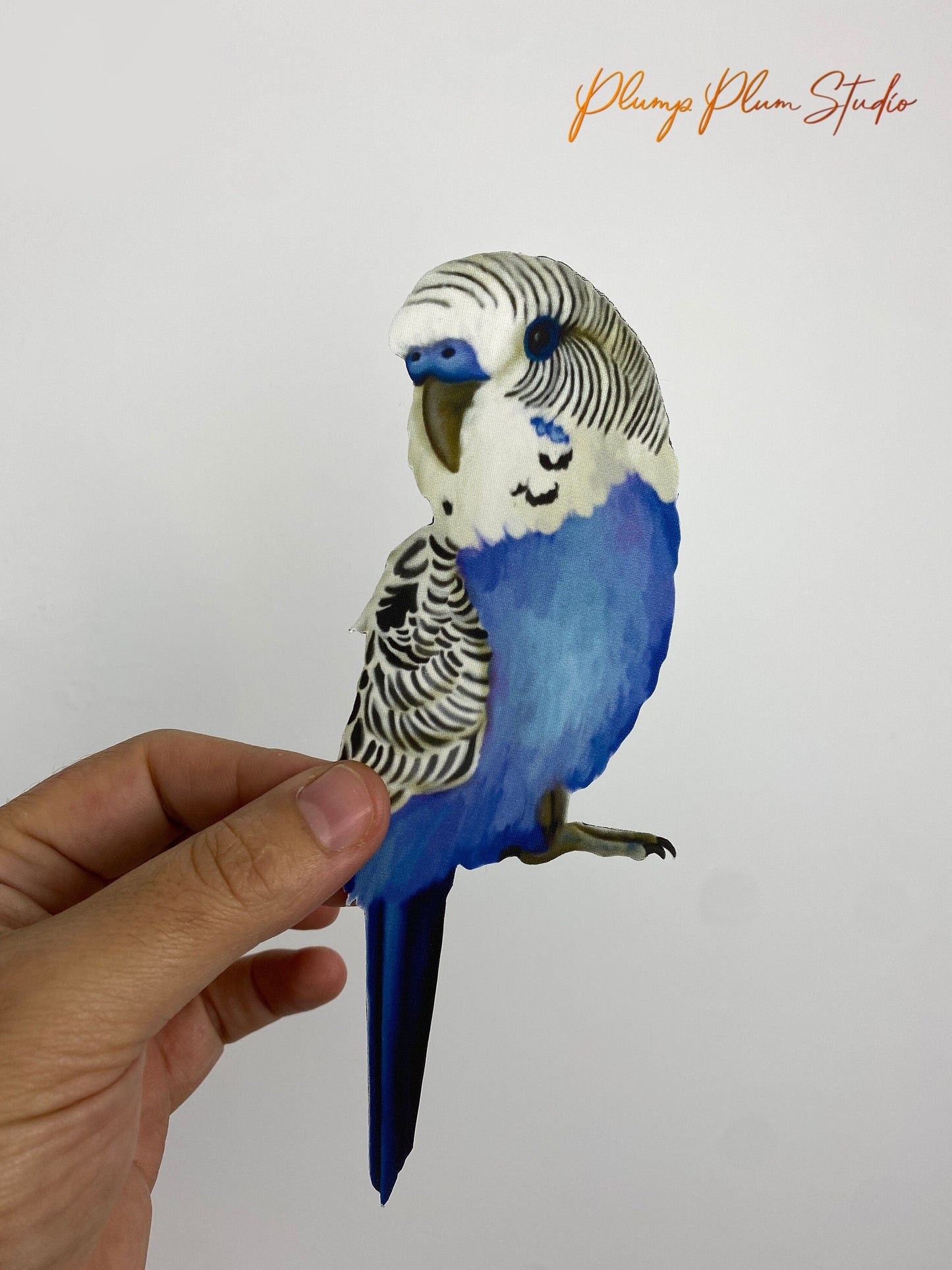 Budgie Blue and White decal, Australian budgie sticker, peel/stick, light switch decal, cute little bird car decal, repositionable luxury textured vinyl, budgie gift