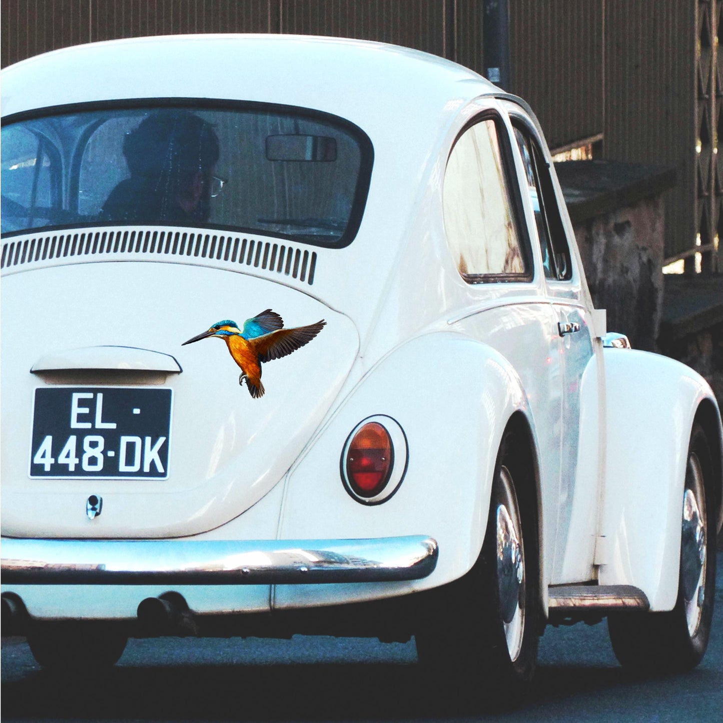 Weather-resistant and fade-resistant Kingfisher decal on the back of a car, highlighting durable outdoor vinyl.