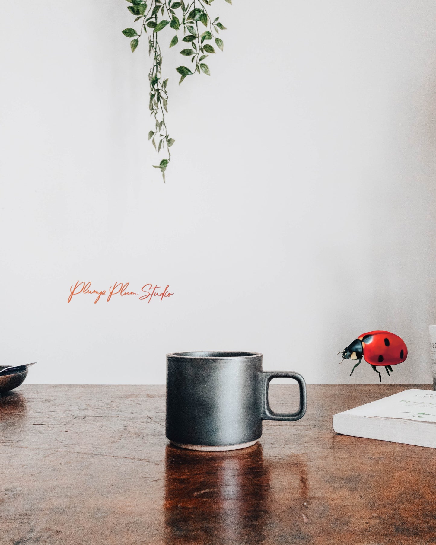 Waterproof Lady Bug vinyl decal applied to a interior wall, showing fade-resistant vibrant red colors.