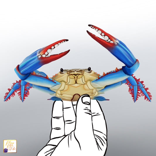 Realistic hand-drawn Chesapeake Blue Crab decal with vibrant blue and tan shell details on luxury matte textured vinyl.