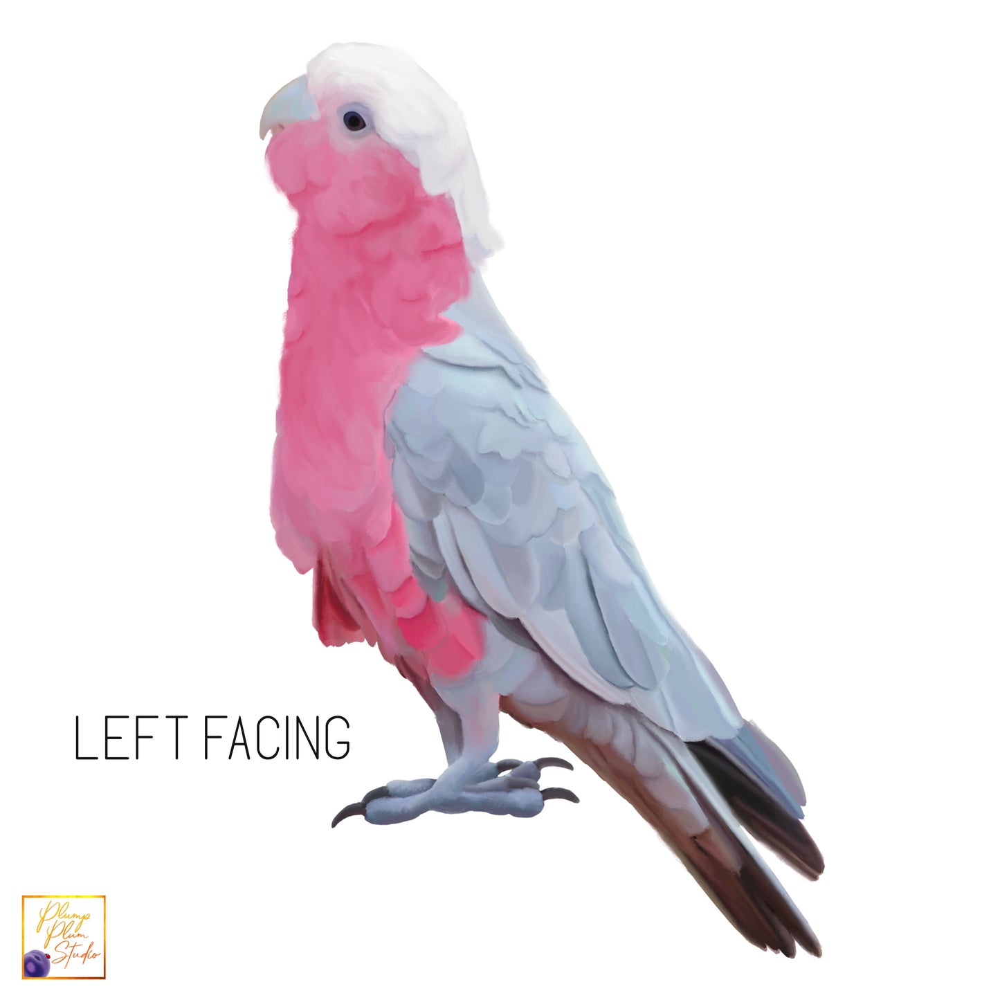 Aussie Pink Galah decal, Pink/grey parrot, Australian galah sticker, Australian bird textured vinyl, Bird lovers gift, indoor/outdoor vinyl