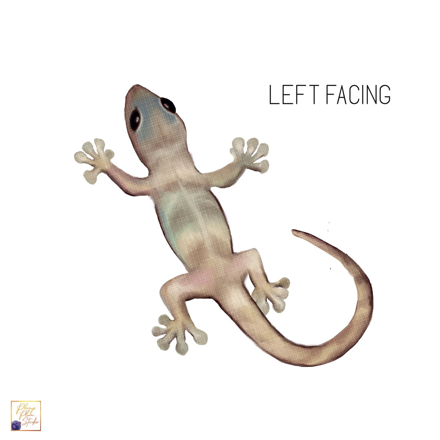 Left-facing gecko sticker