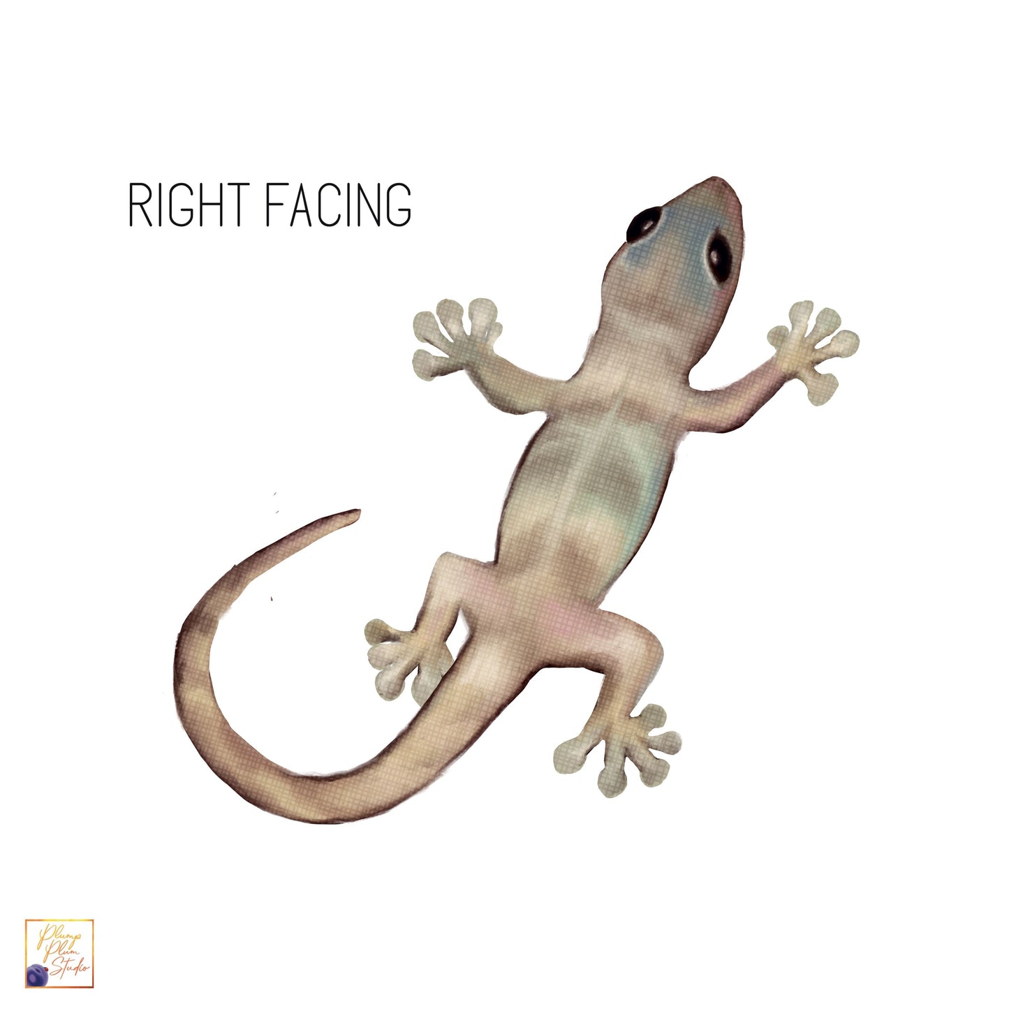 right facing gecko sticker