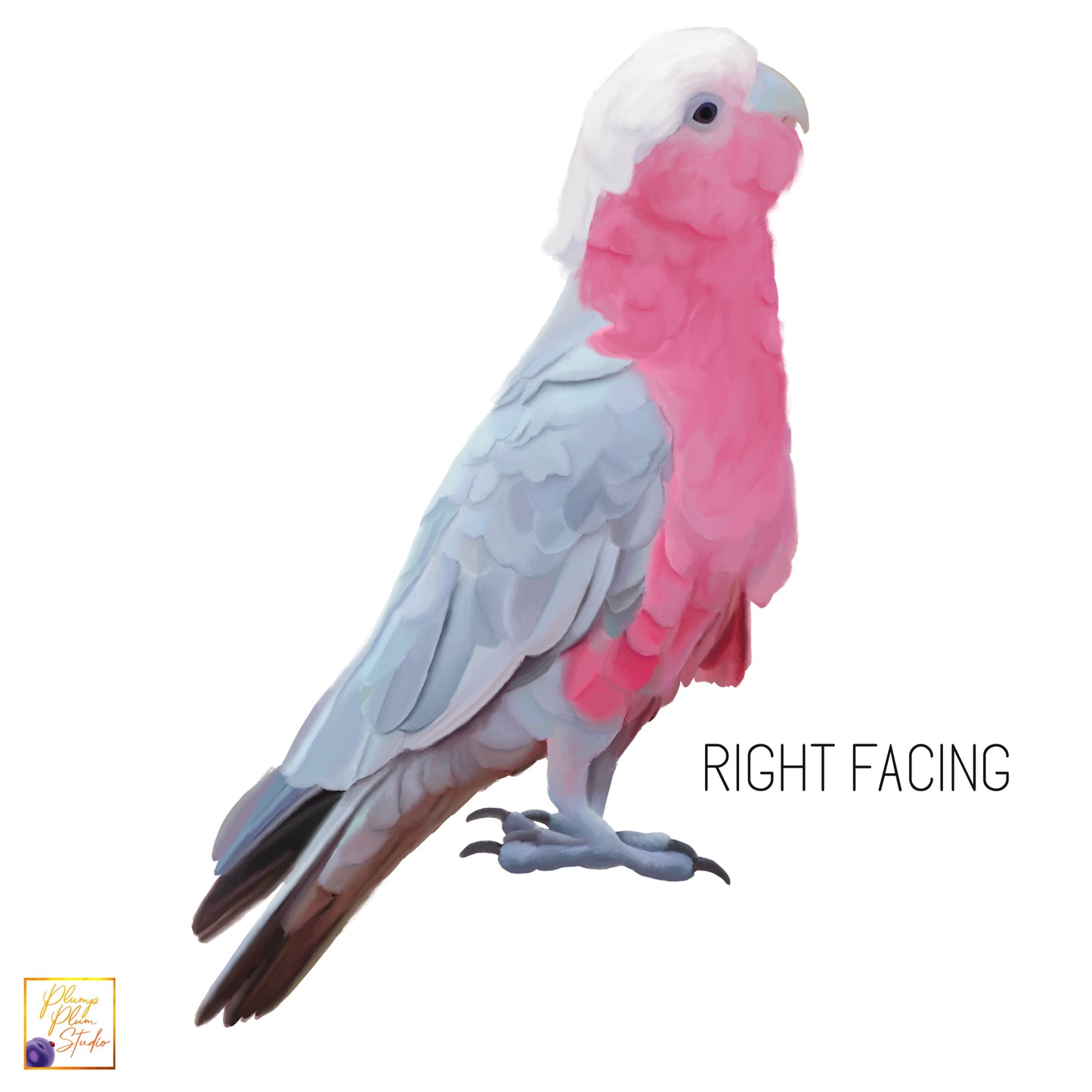 Aussie Pink Galah decal, Pink/grey parrot, Australian galah sticker, Australian bird textured vinyl, Bird lovers gift, indoor/outdoor vinyl