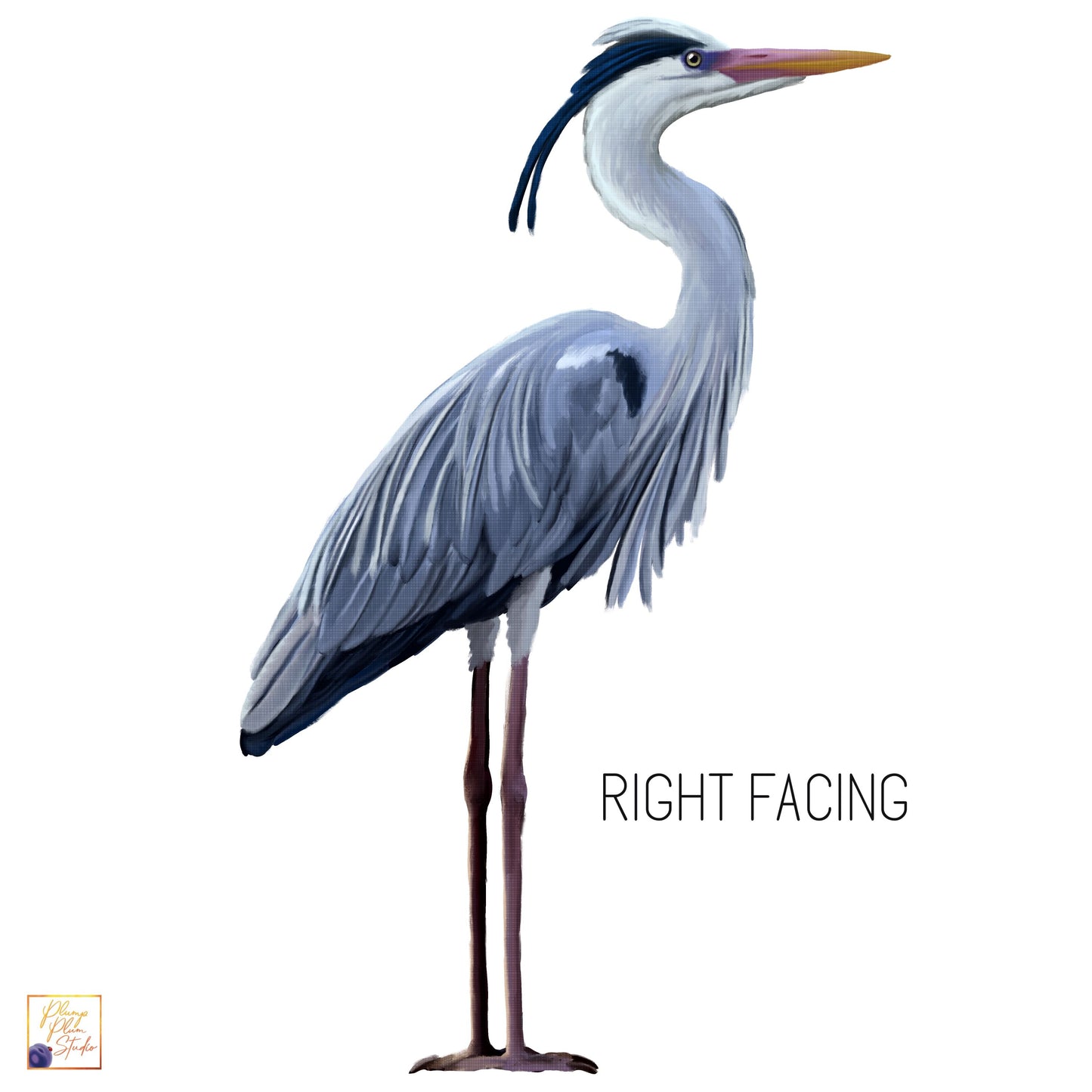 Right facing large blue heron decal, borderless cut luxury vinyl