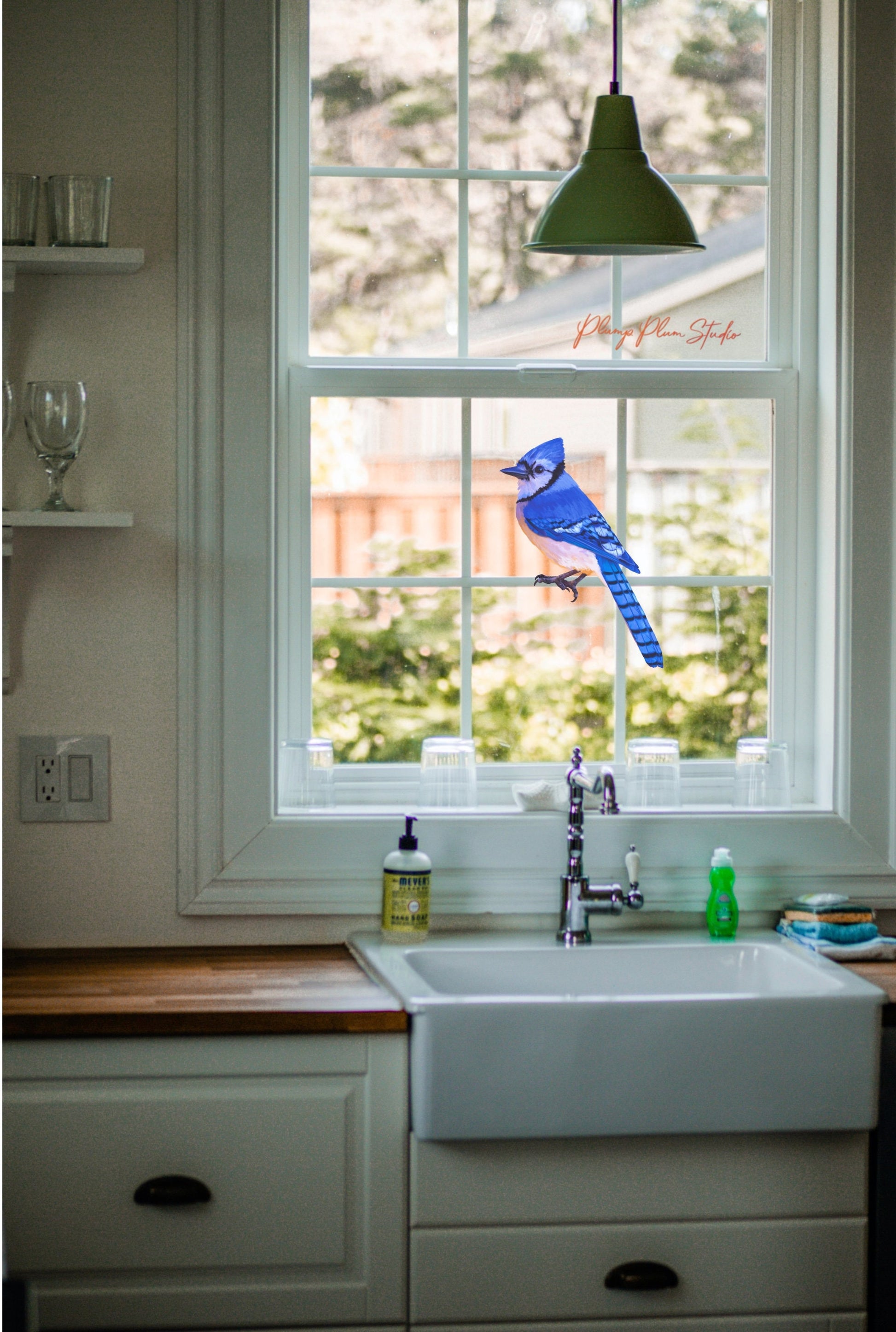Water-resistant Blue Jay vinyl decal applied to window, featuring fade-resistant hand-illustrated artwork.