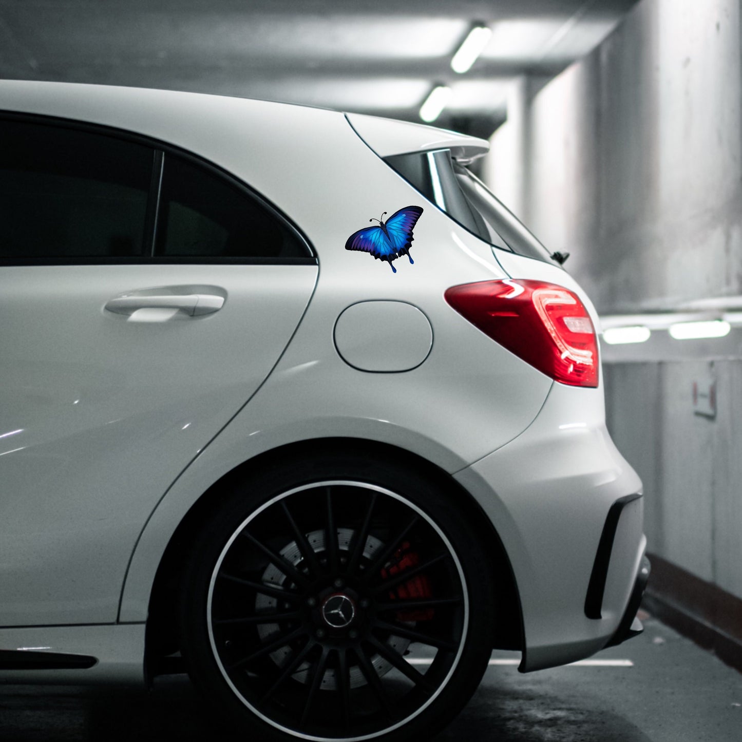 Weatherproof Blue Ulysses Butterfly vinyl decal on a car, showing fade-resistant art.
