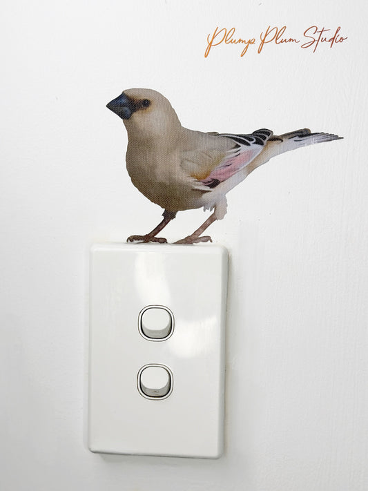 Small Desert Finch bird sticker perched above a light switch in a nursery or hallway.