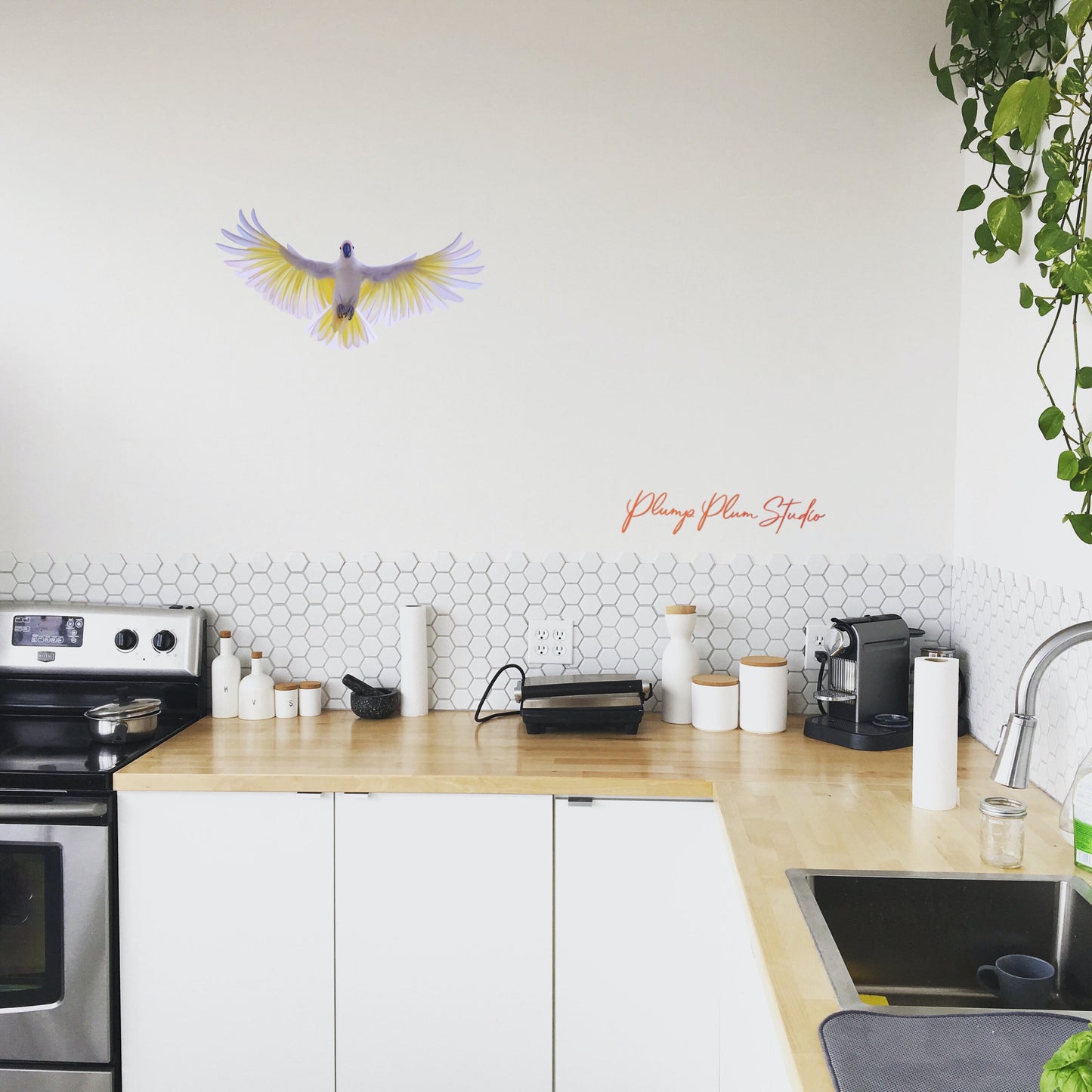 Large flying Cockatoo wall decal spanning 44cm, creating a dramatic nature-inspired statement piece in a modern kitchen
