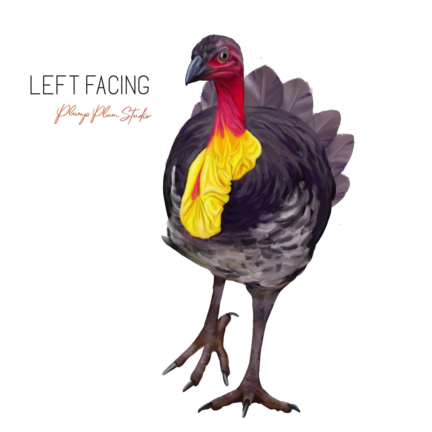 Left Facing Large Scrub Turkey wall sticker