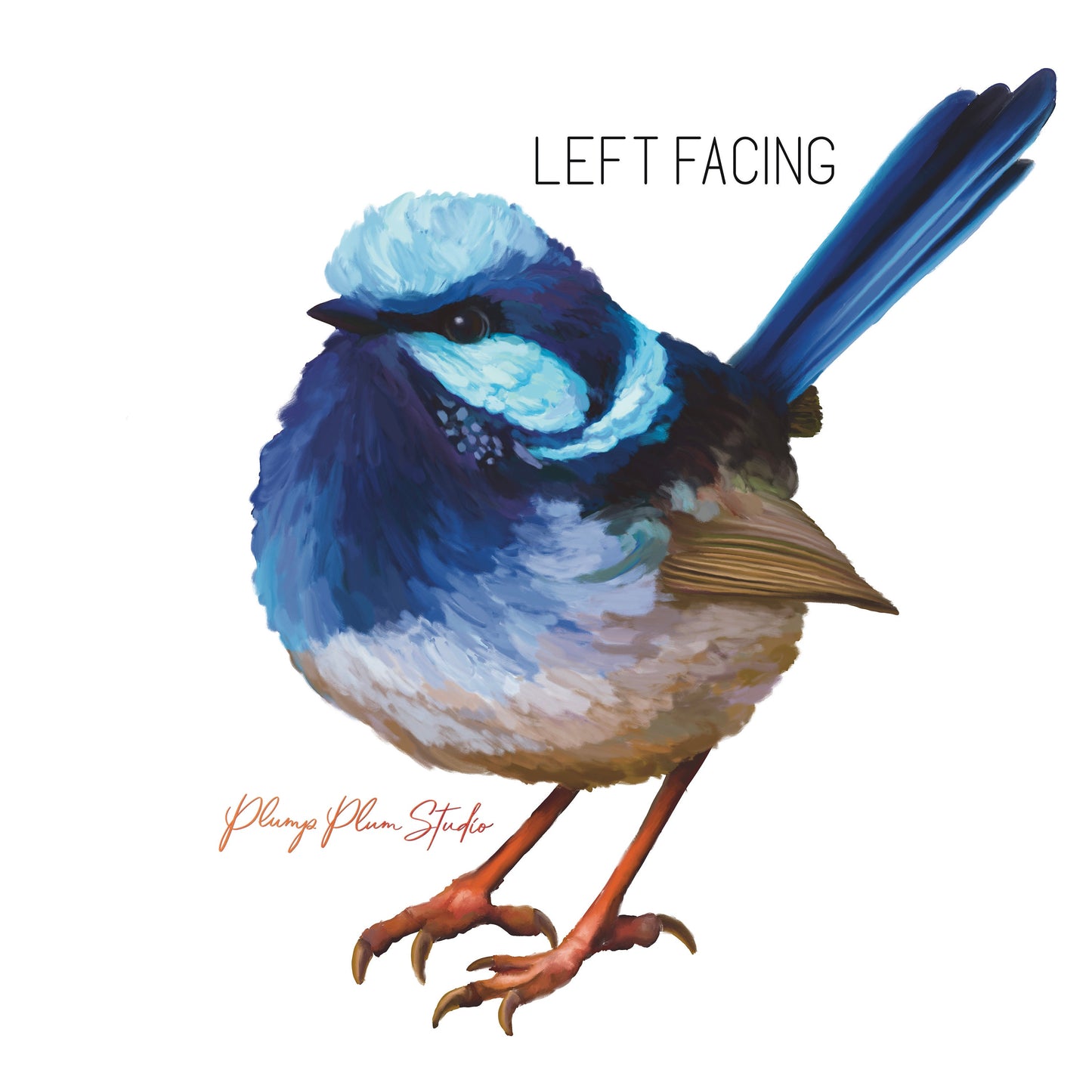 Left facing superb blue fairy wren weatherproof textured decal