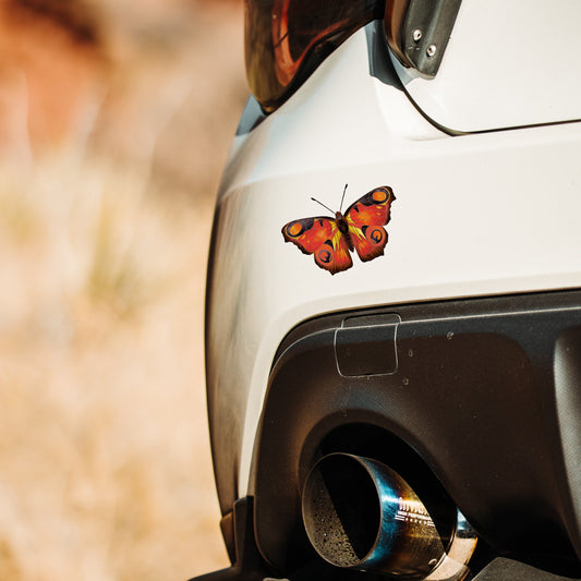 Water-resistant Peacock Butterfly vinyl decal applied to a car bumper, showing fade-resistant vibrant orange tones.