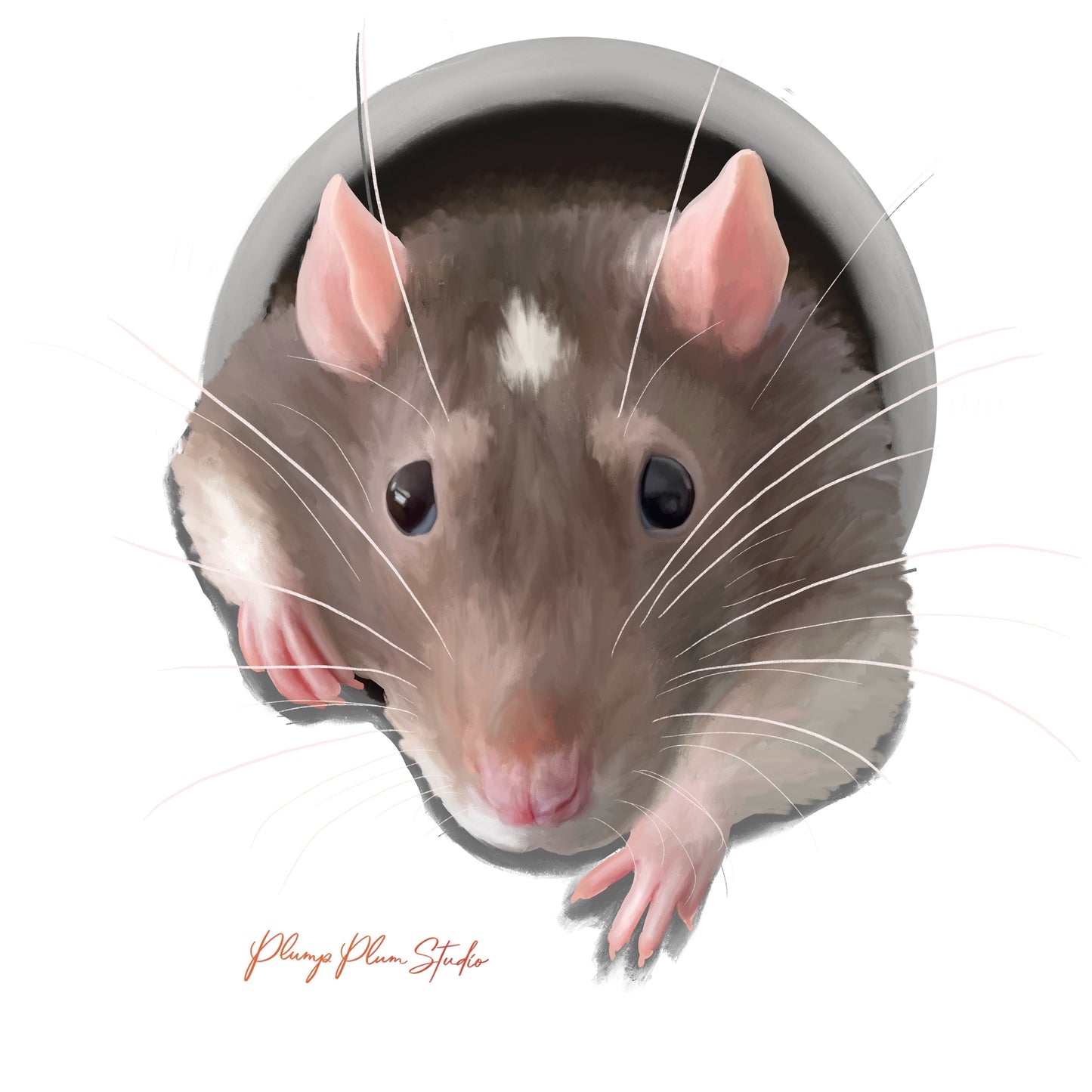 Realistic hand-drawn rat peeking out of a hole decal on luxury matte textured vinyl.