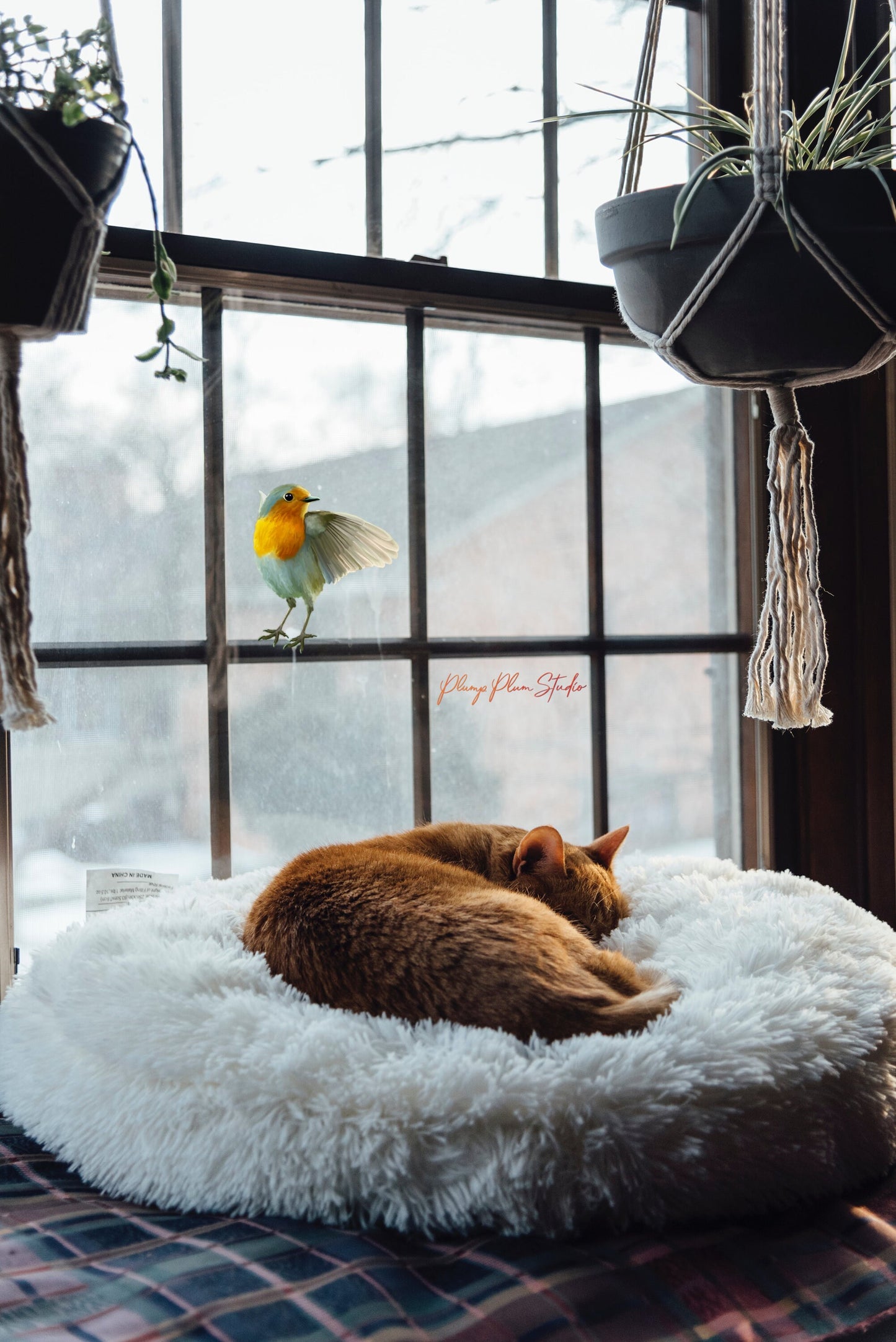 Small European Robin sticker perched realistically onto a window, featuring a seamless borderless edge.