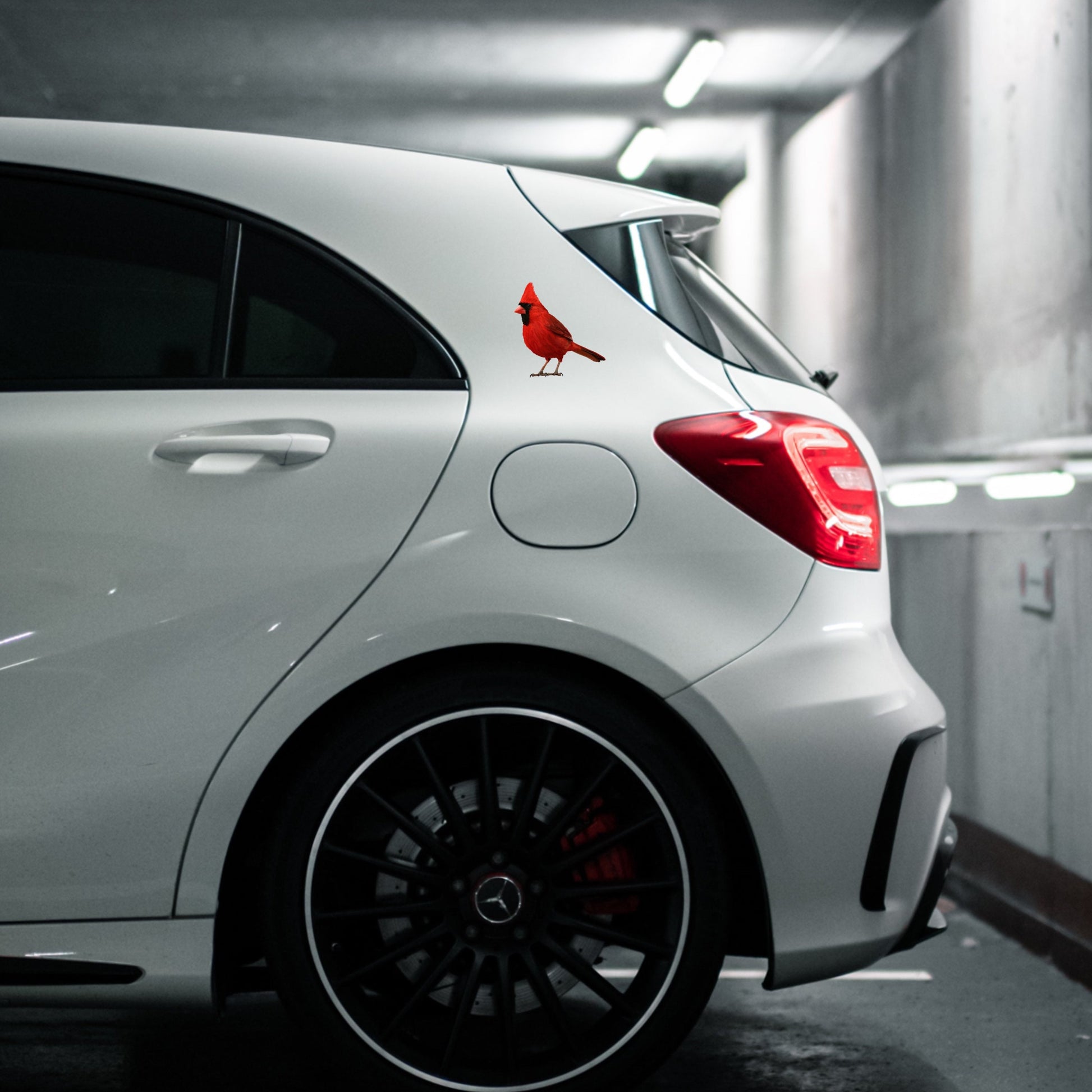 Red Cardinal car sticker in matte textured vinyl, hand‑illustrated