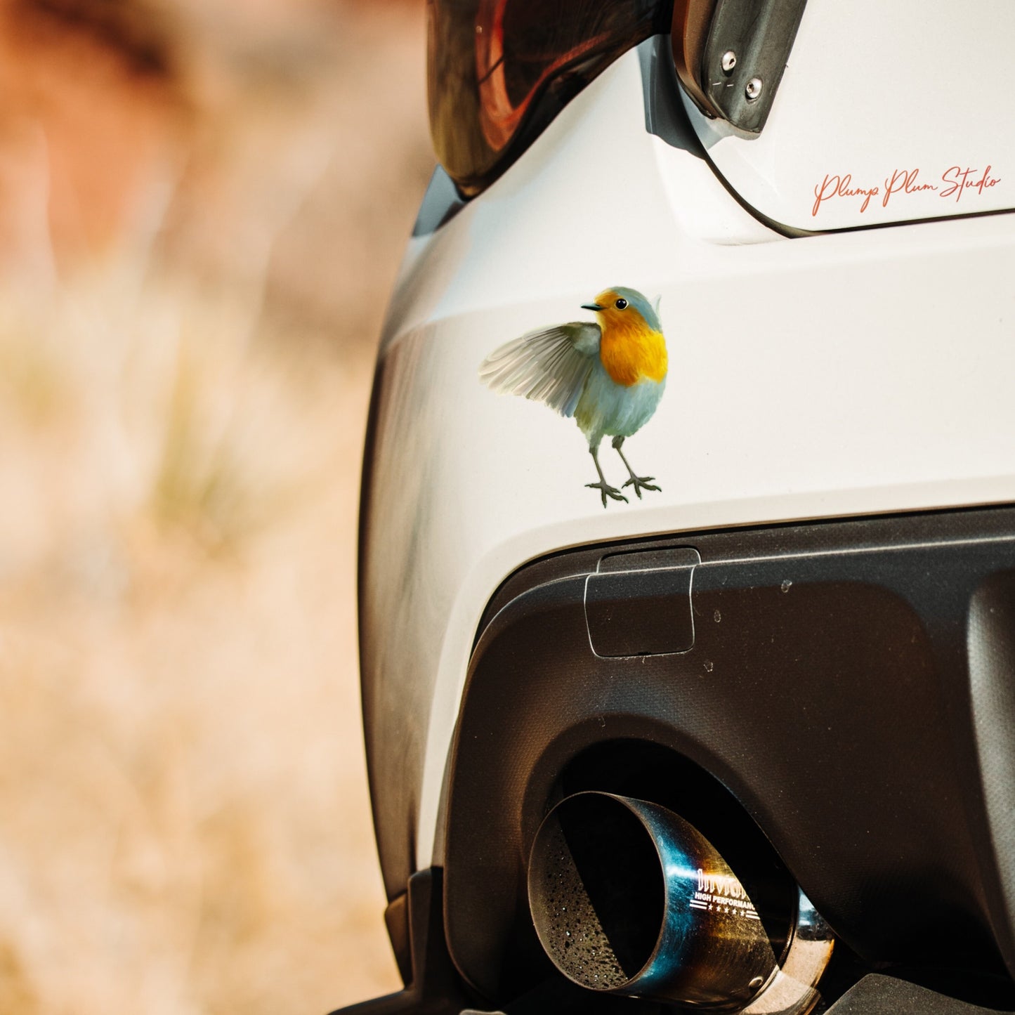 Water-resistant Redbreast Robin vinyl decal on a car bumper, showing fade-resistant hand-illustrated artwork.