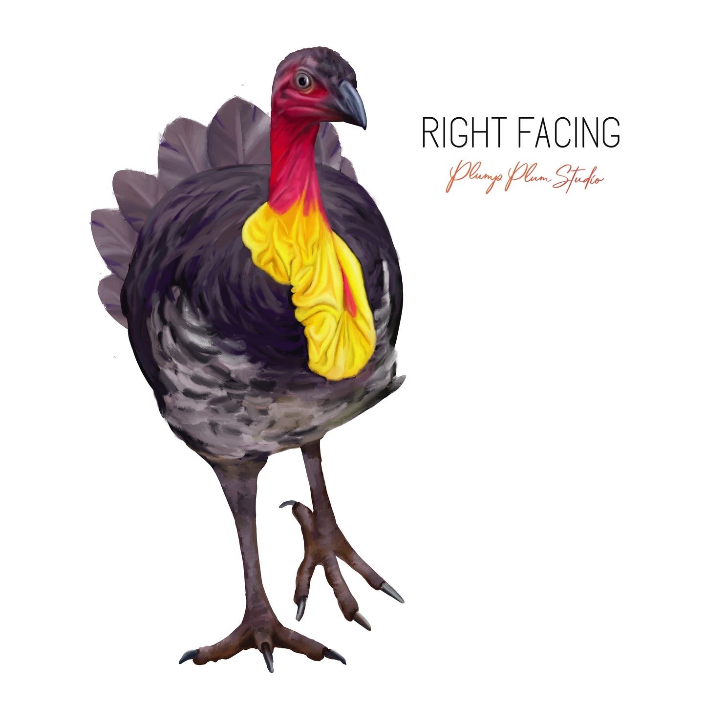 Right Facing Large Scrub Turkey wall sticker