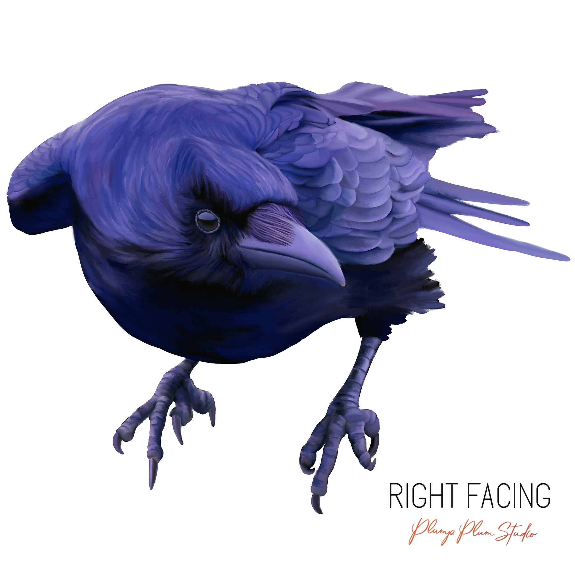 Right facing raven decal/sticker