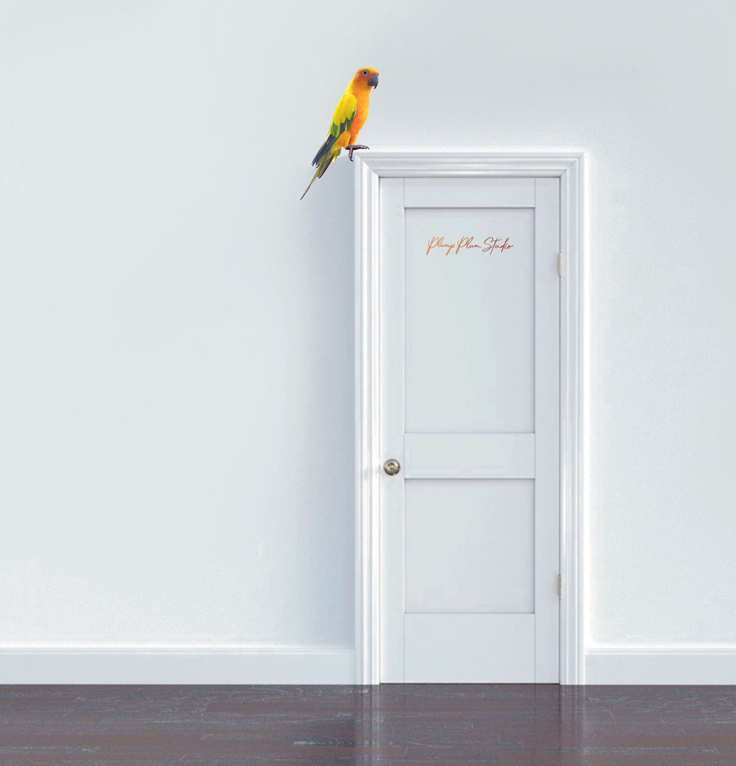 Large Sun Conure parakeet decal perched above a door frame, showing a seamless look on a colored wall.