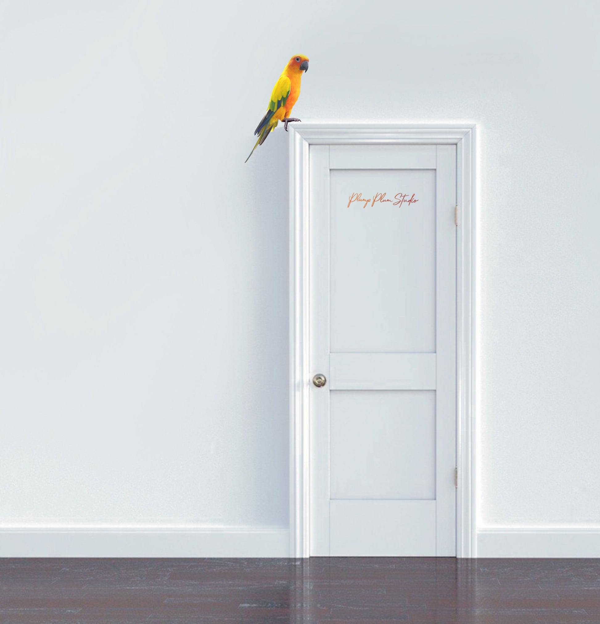Large Sun Conure parakeet decal perched above a door frame, showing a seamless look on a colored wall.