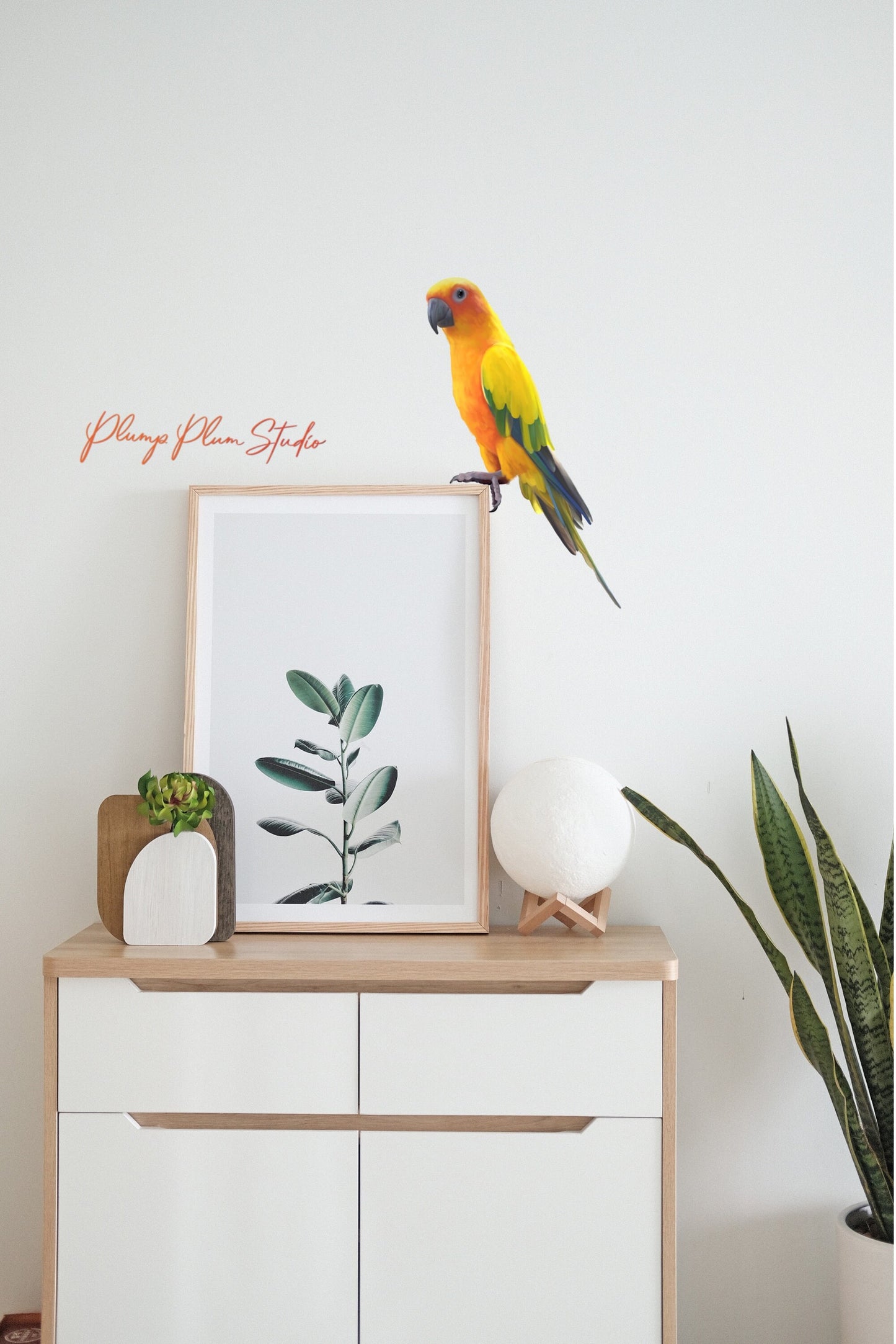 Realistic Sun Conure bird sticker applied to interior wall showing weather-resistant vinyl quality.